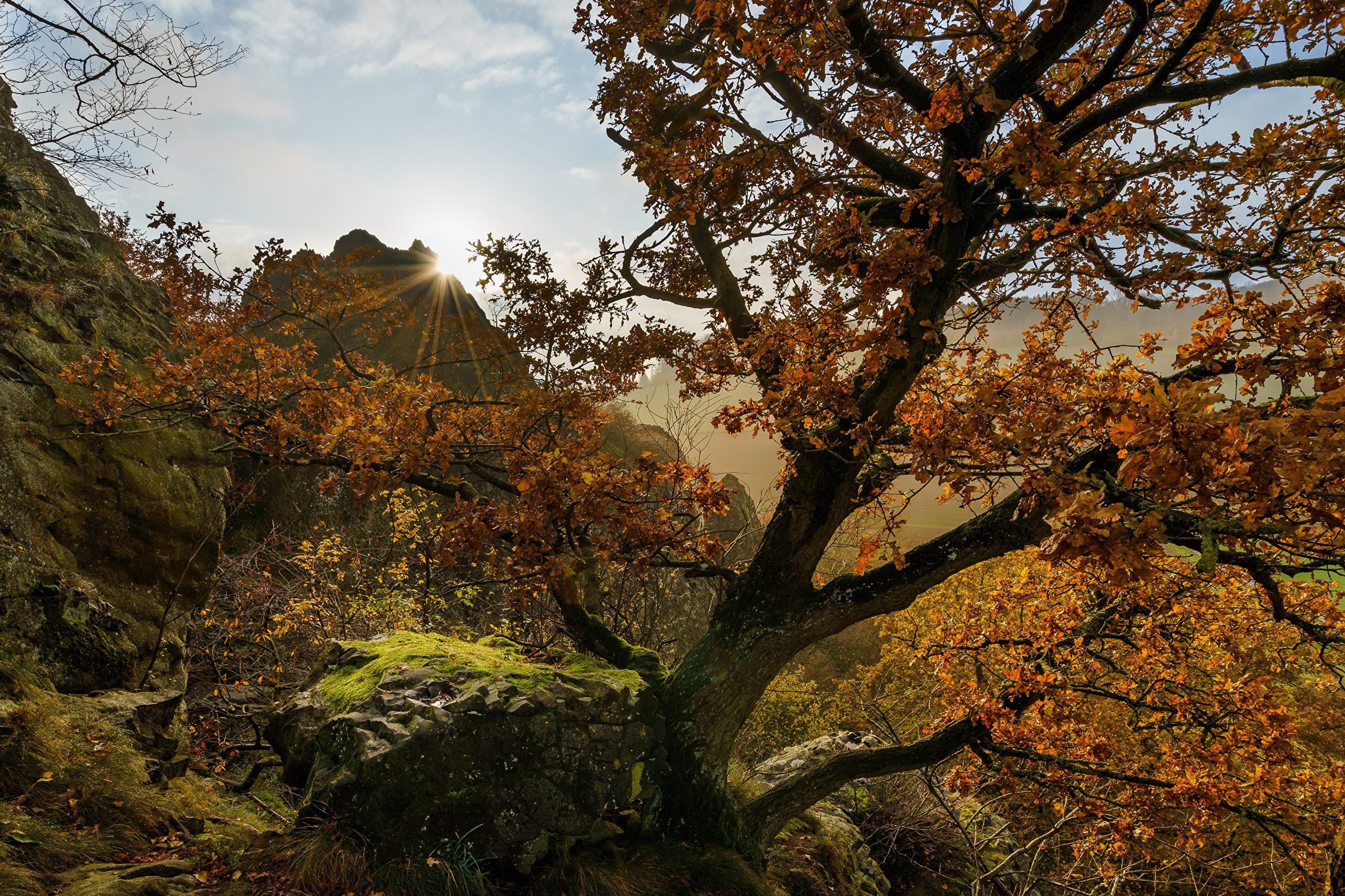 Autumn forest with sun rays over rocks and trees HD Wallpaper