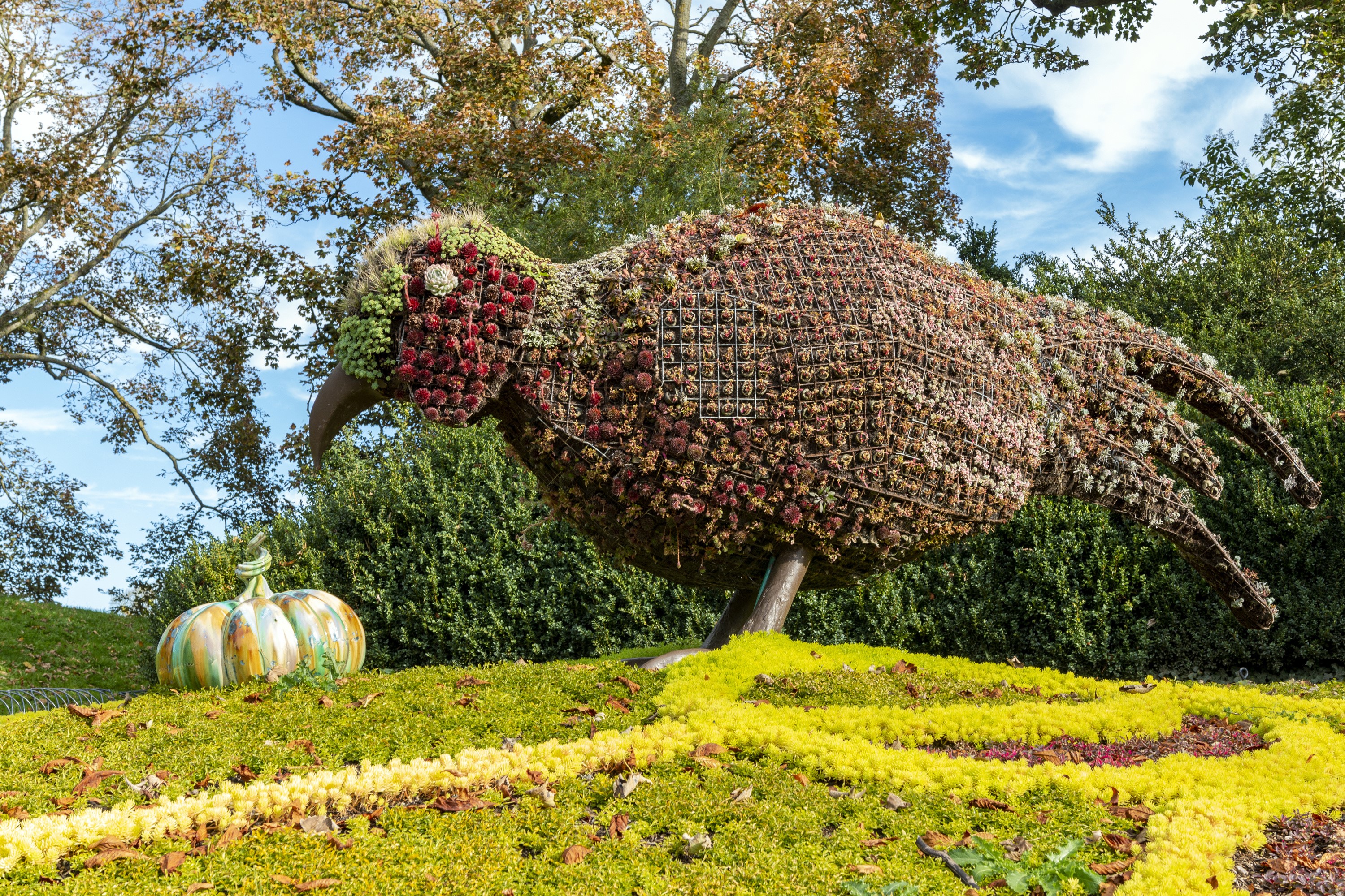 Topiary bird sculpture with pumpkins at Waddesdon Manor HD Wallpaper