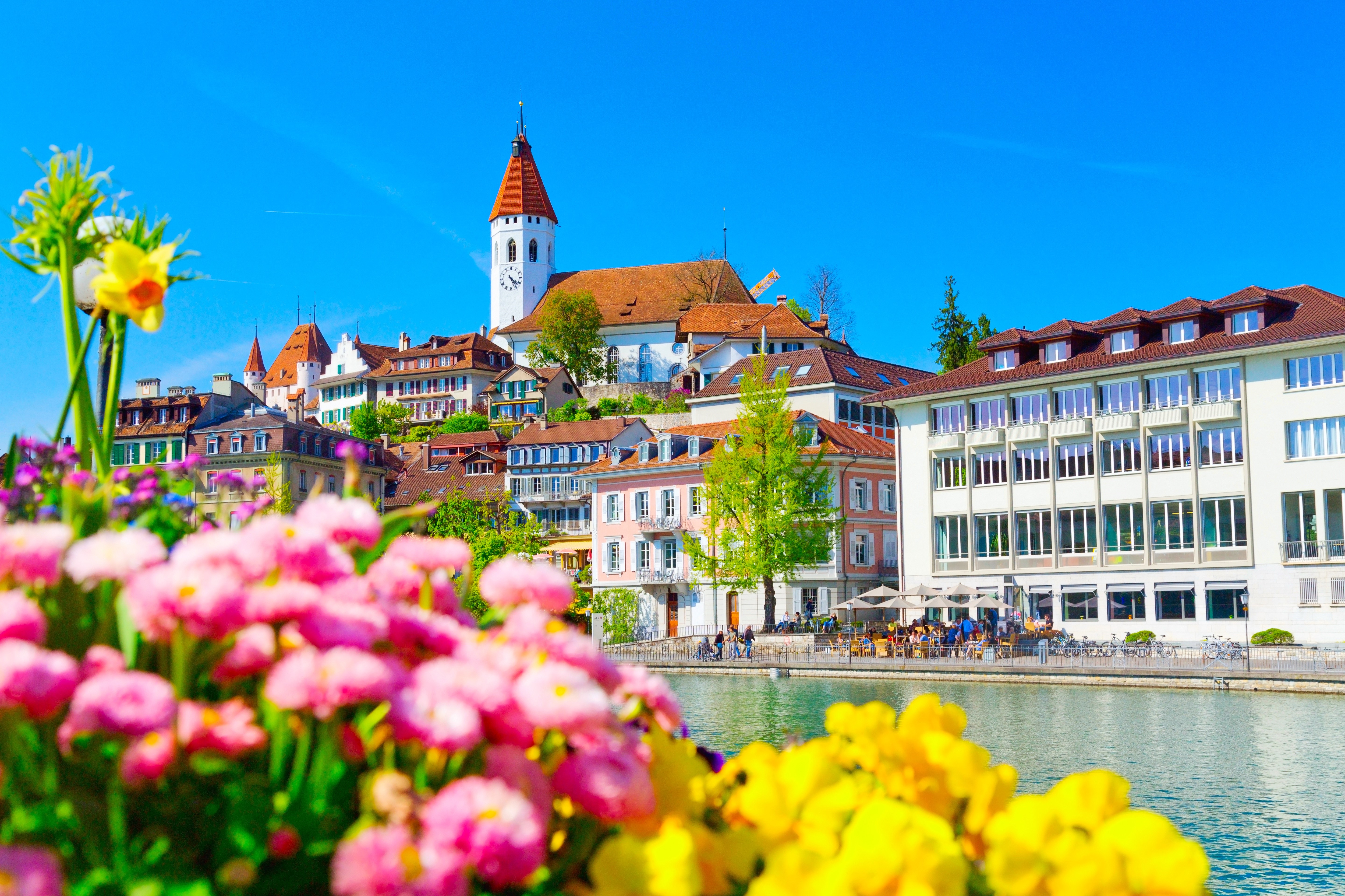 Thun, Switzerland with Aare River and Flowers HD Wallpaper