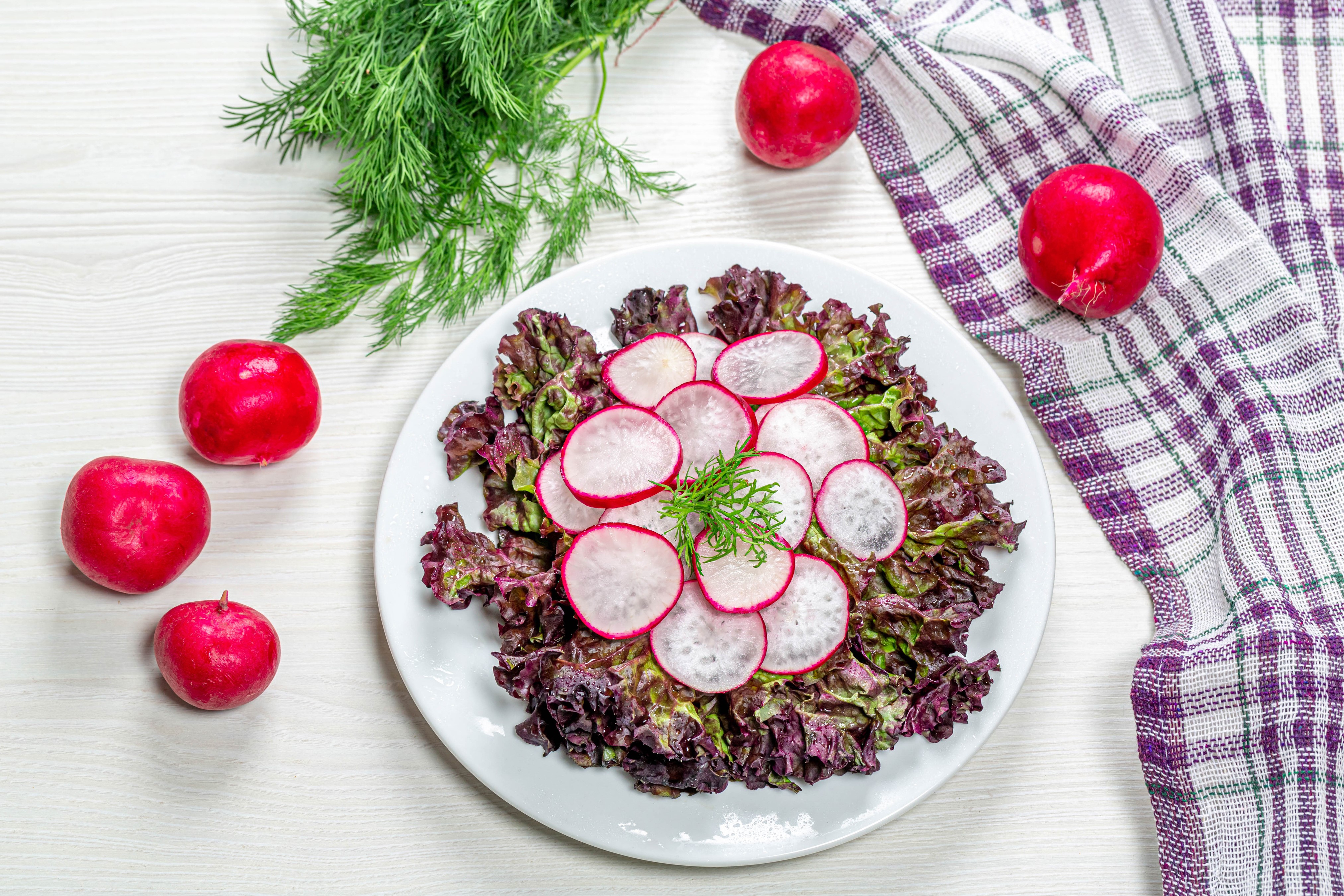Radish and Lettuce Salad with Dill on Plate HD Wallpaper