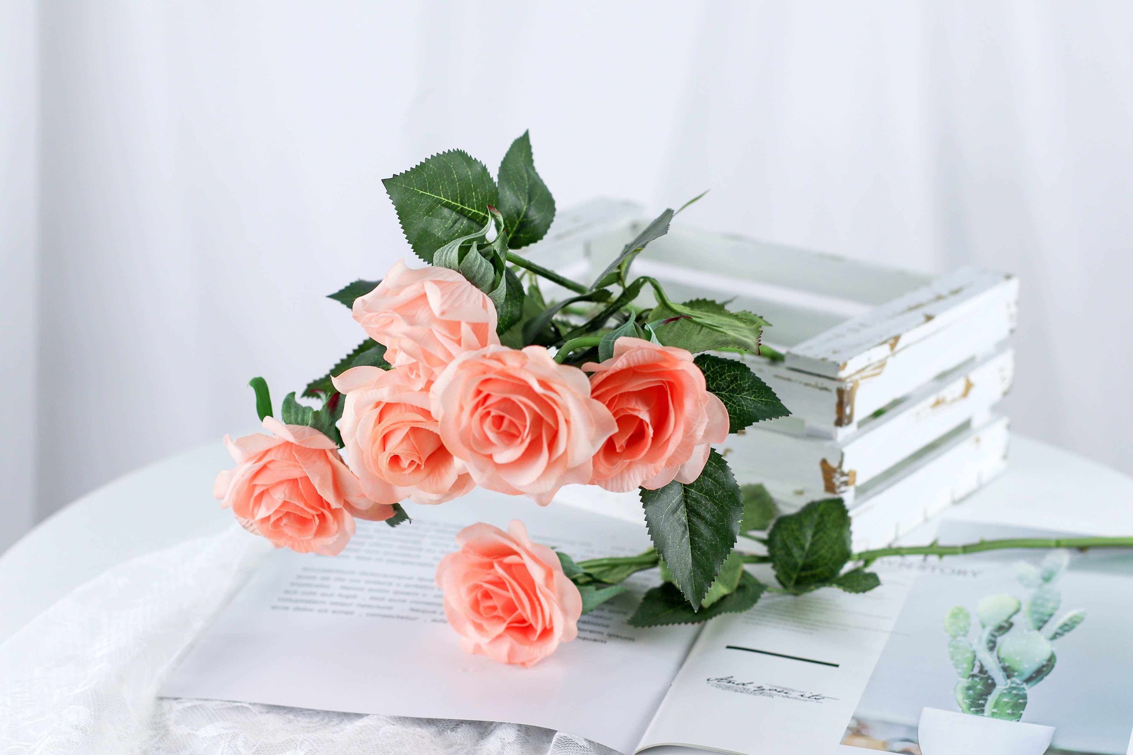 Pink Roses on a Table with a Magazine HD Wallpaper