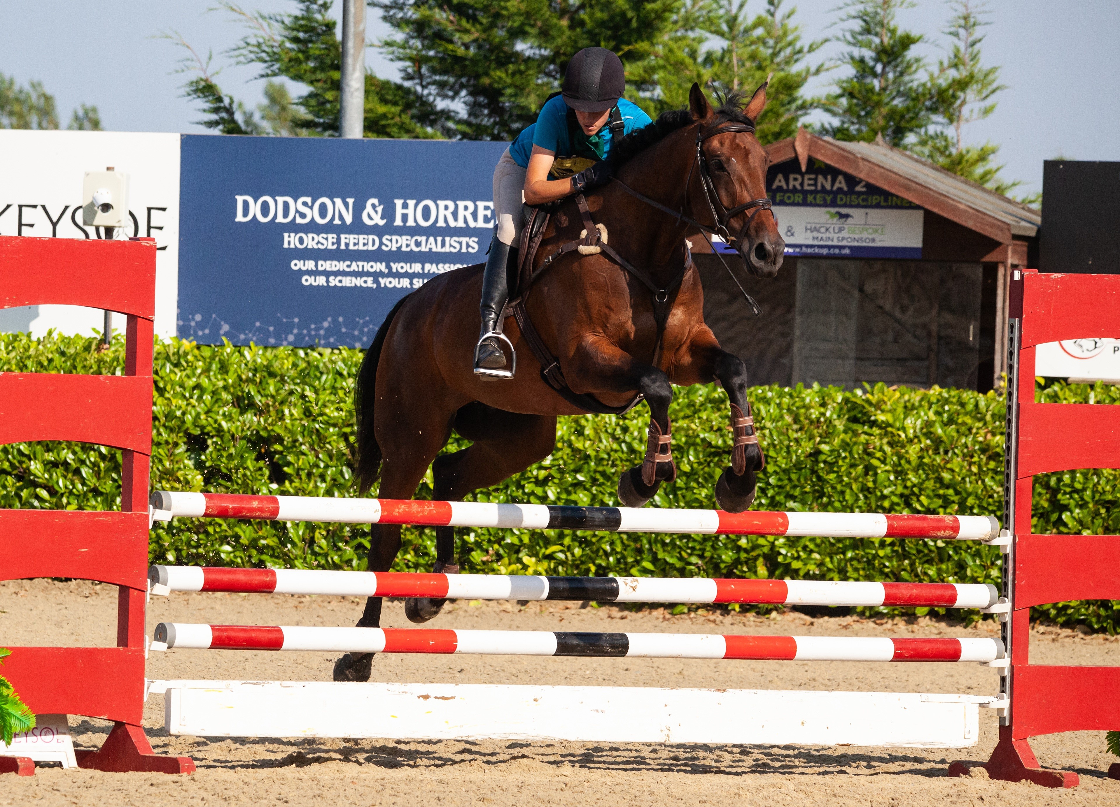 Horse and Rider jumping over obstacle HD Wallpaper