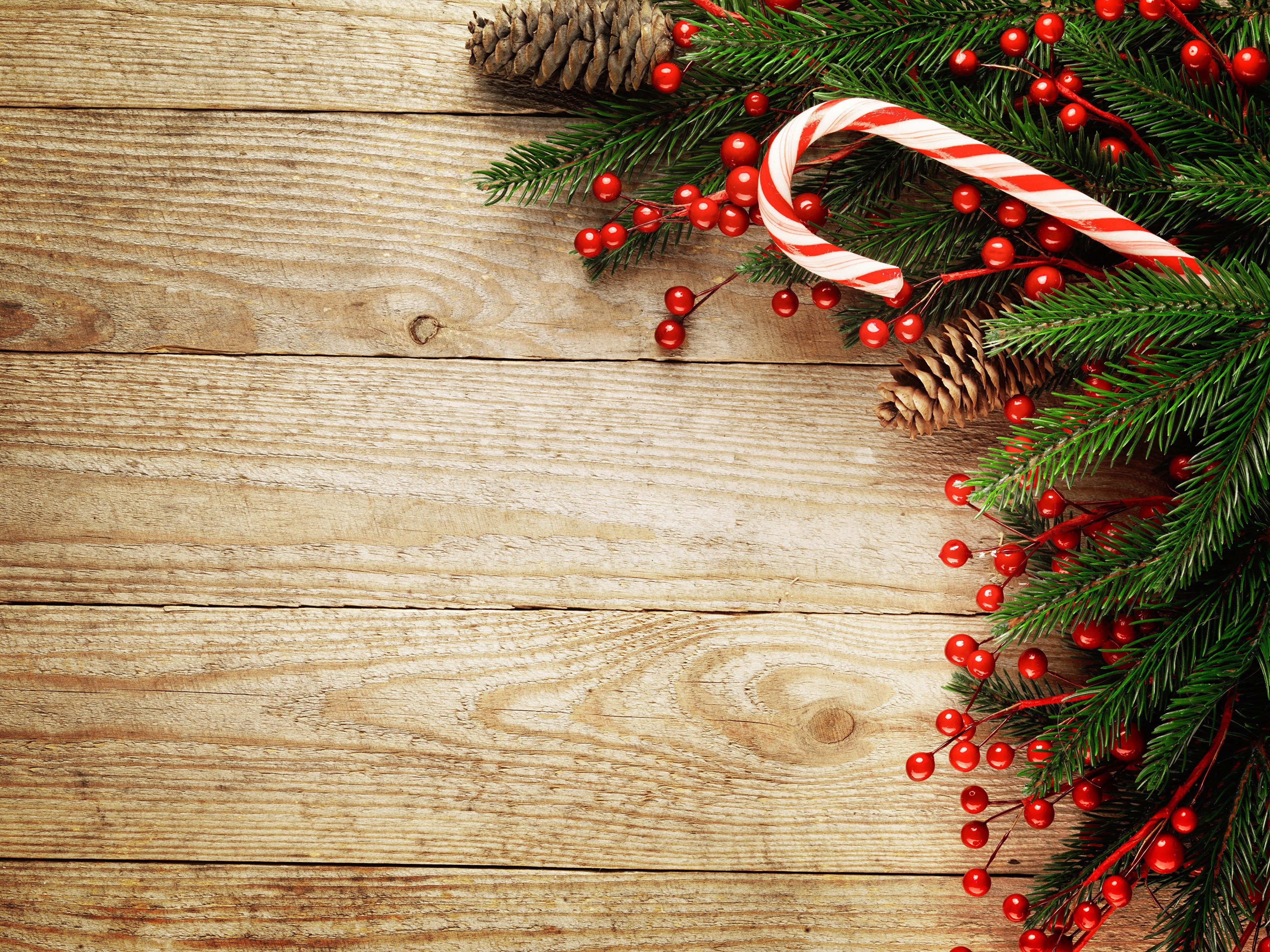 Christmas decoration with pine cones and berries on wood HD Wallpaper