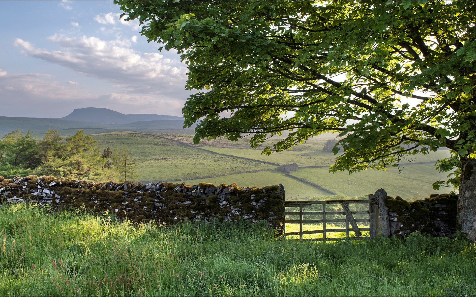 Stone wall and gate in a green landscape HD Wallpaper