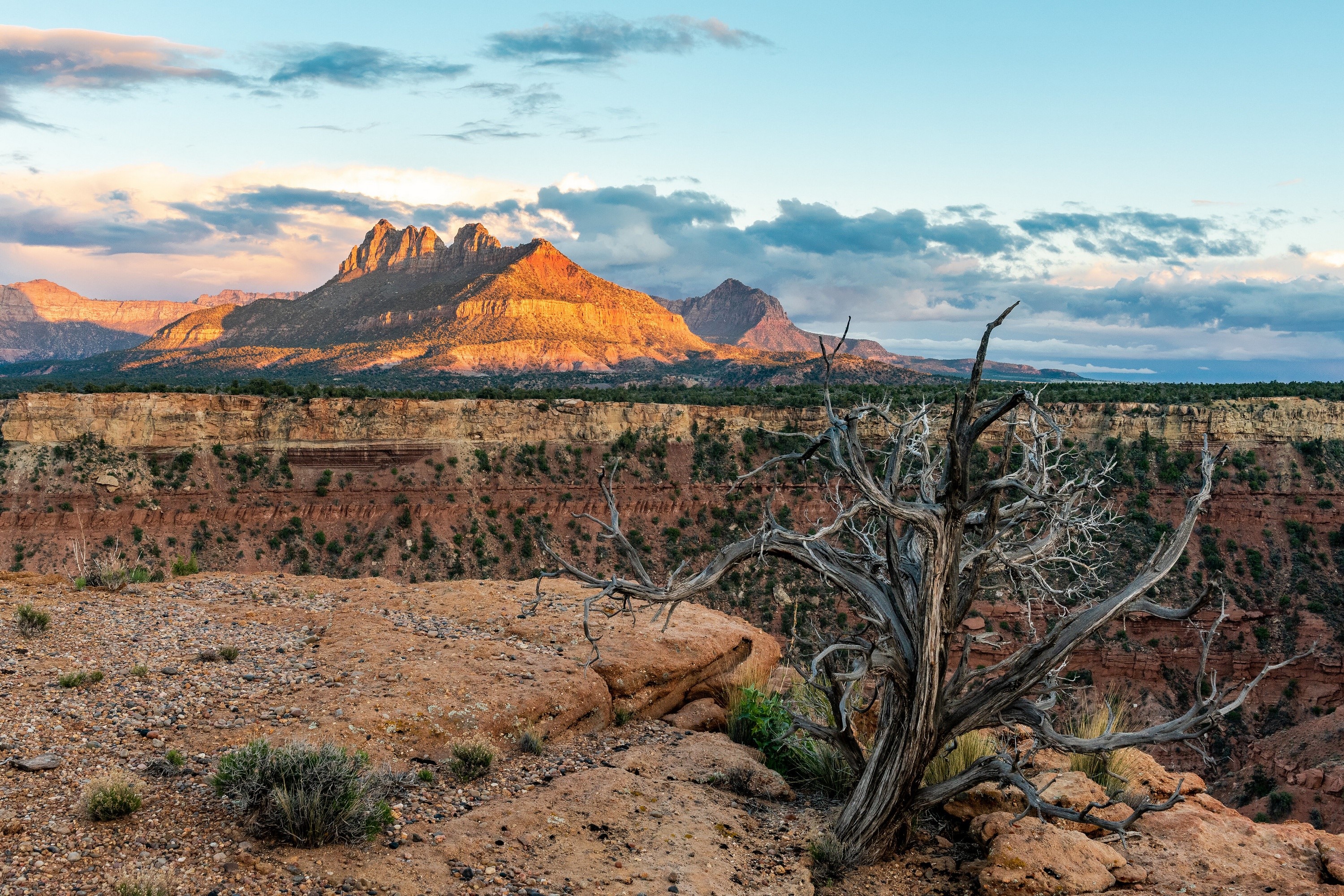 Zion National Park Mountains at Sunset HD Wallpaper