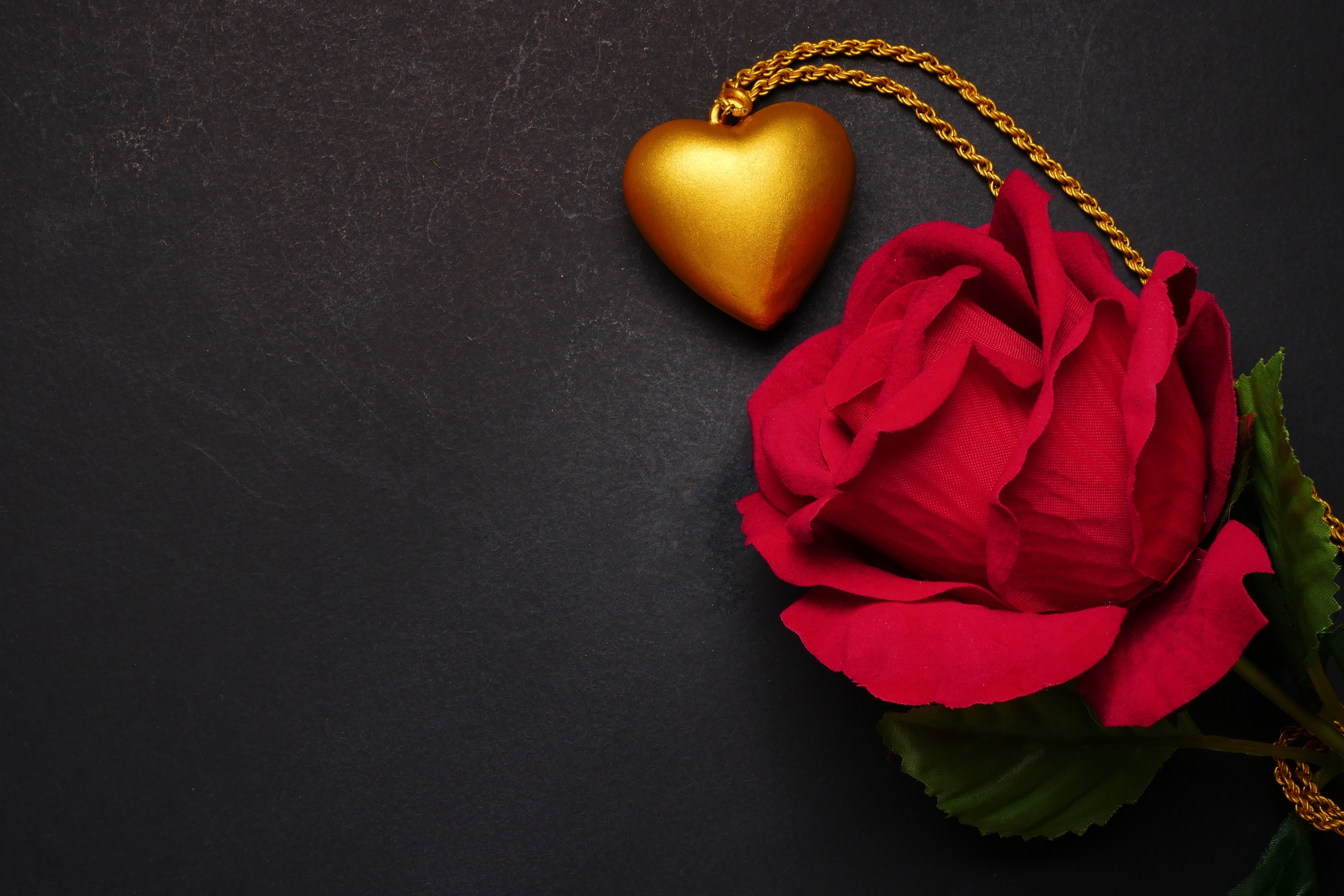 Golden Heart Necklace and Red Rose on Black Background HD Wallpaper