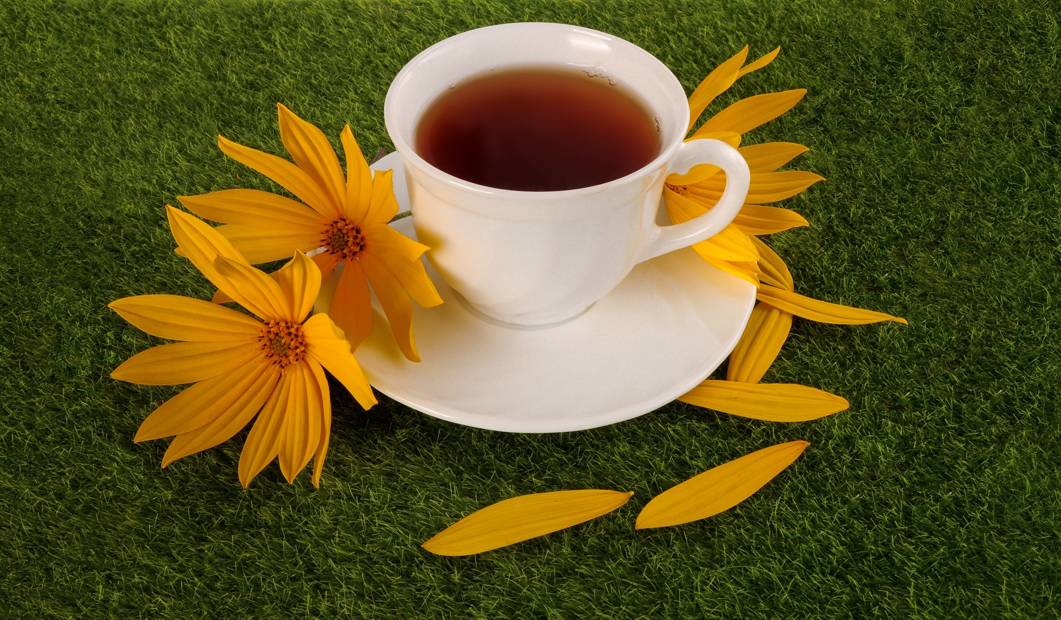 White teacup with yellow flowers on green grass HD Wallpaper