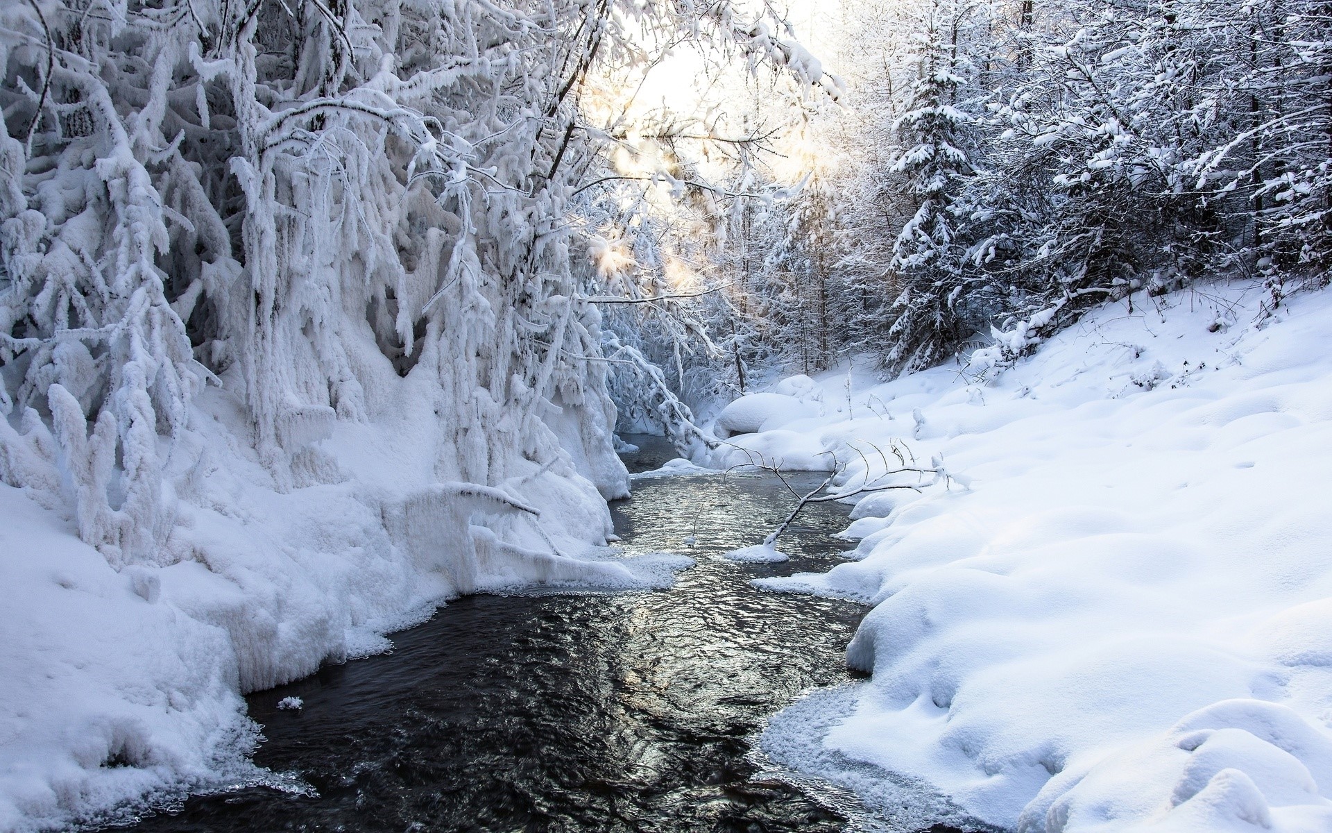 Winter stream with snow-covered trees and sunlight HD Wallpaper