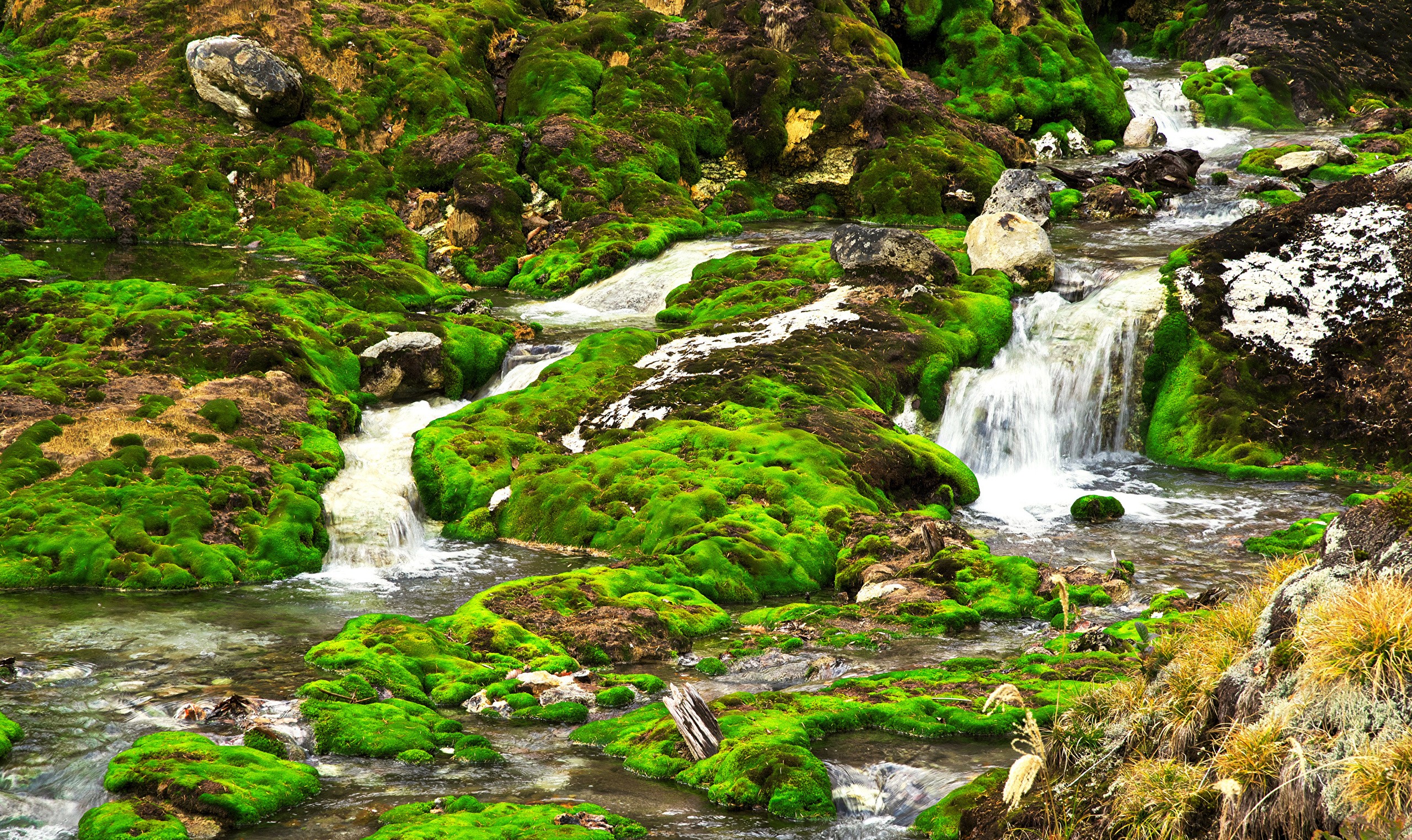 Mossy rocks and waterfalls in Nakanojo Chatsubomigoke Park, Japan HD Wallpaper