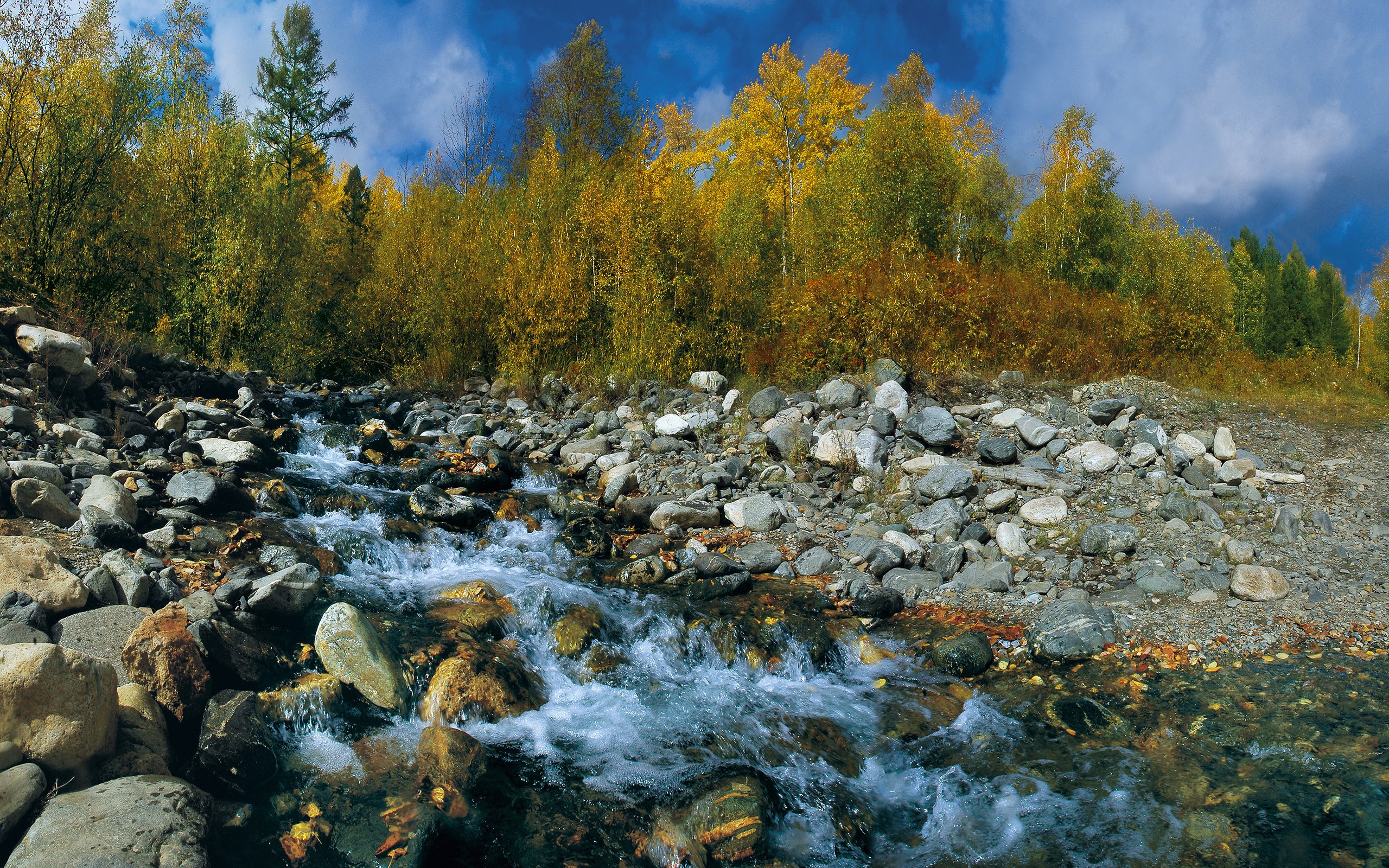 Autumn stream flowing over stones with colorful trees HD Wallpaper