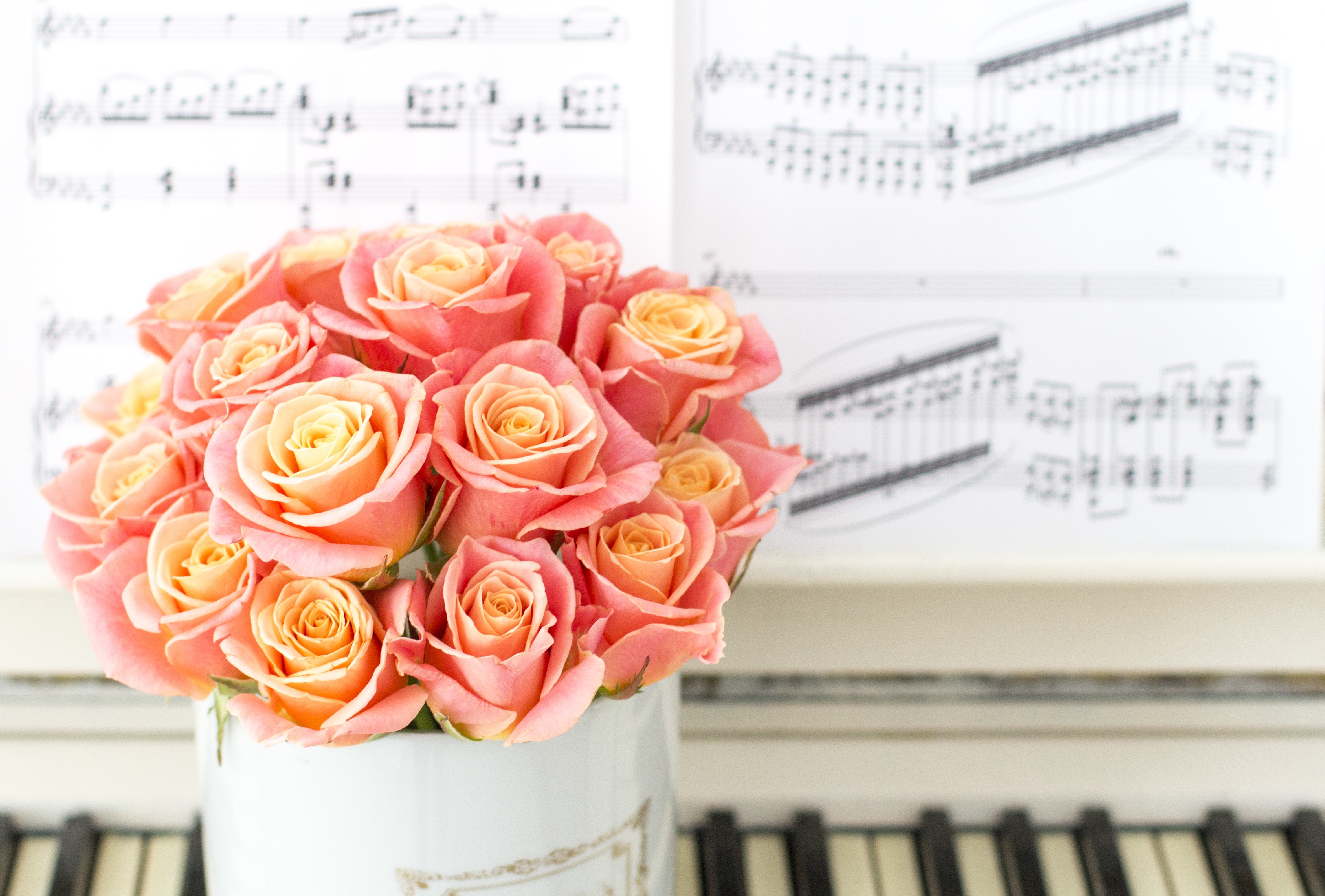 Pink Roses Bouquet on Piano with Sheet Music HD Wallpaper