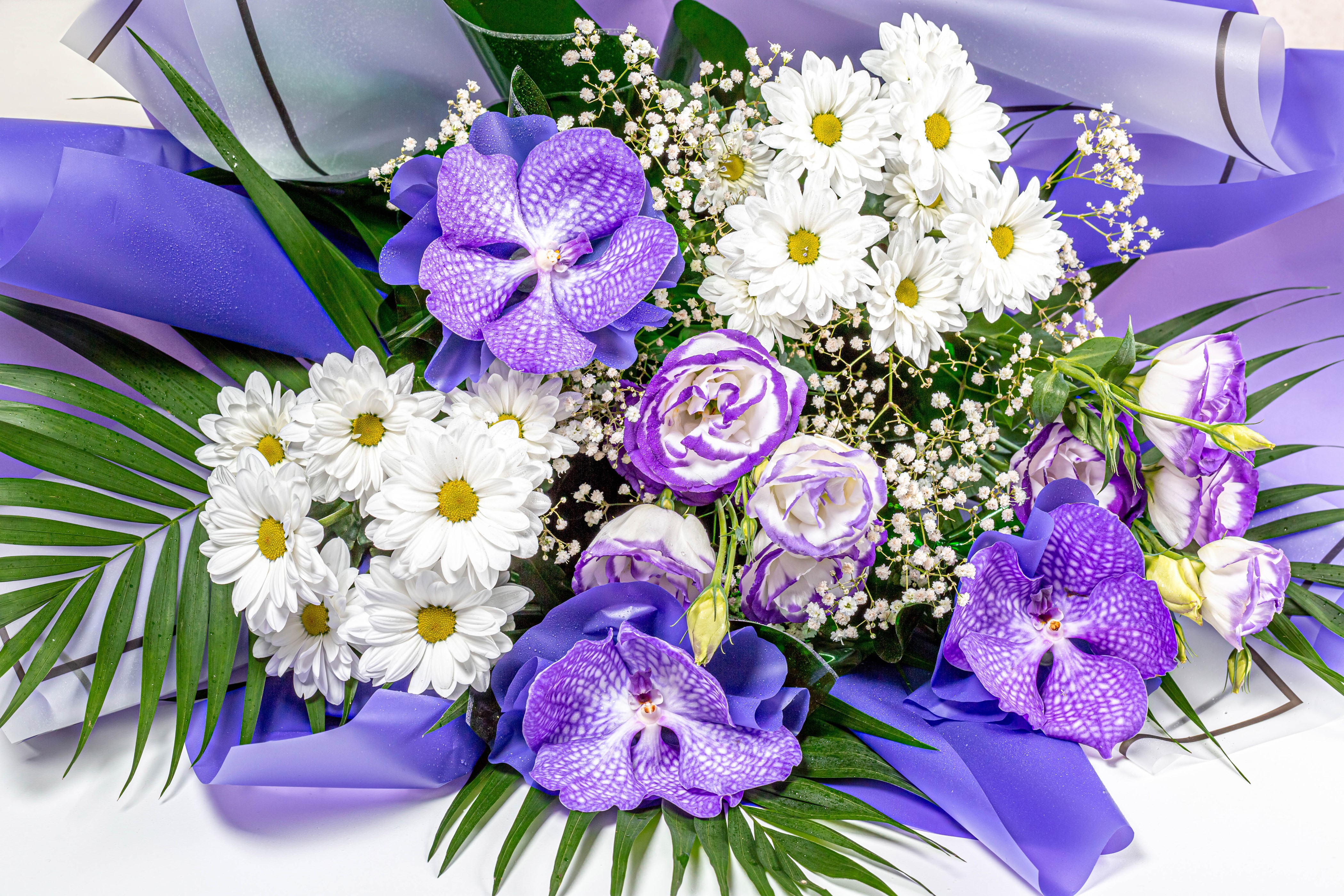 Bouquet of Orchids, Chrysanthemums, and Eustoma HD Wallpaper