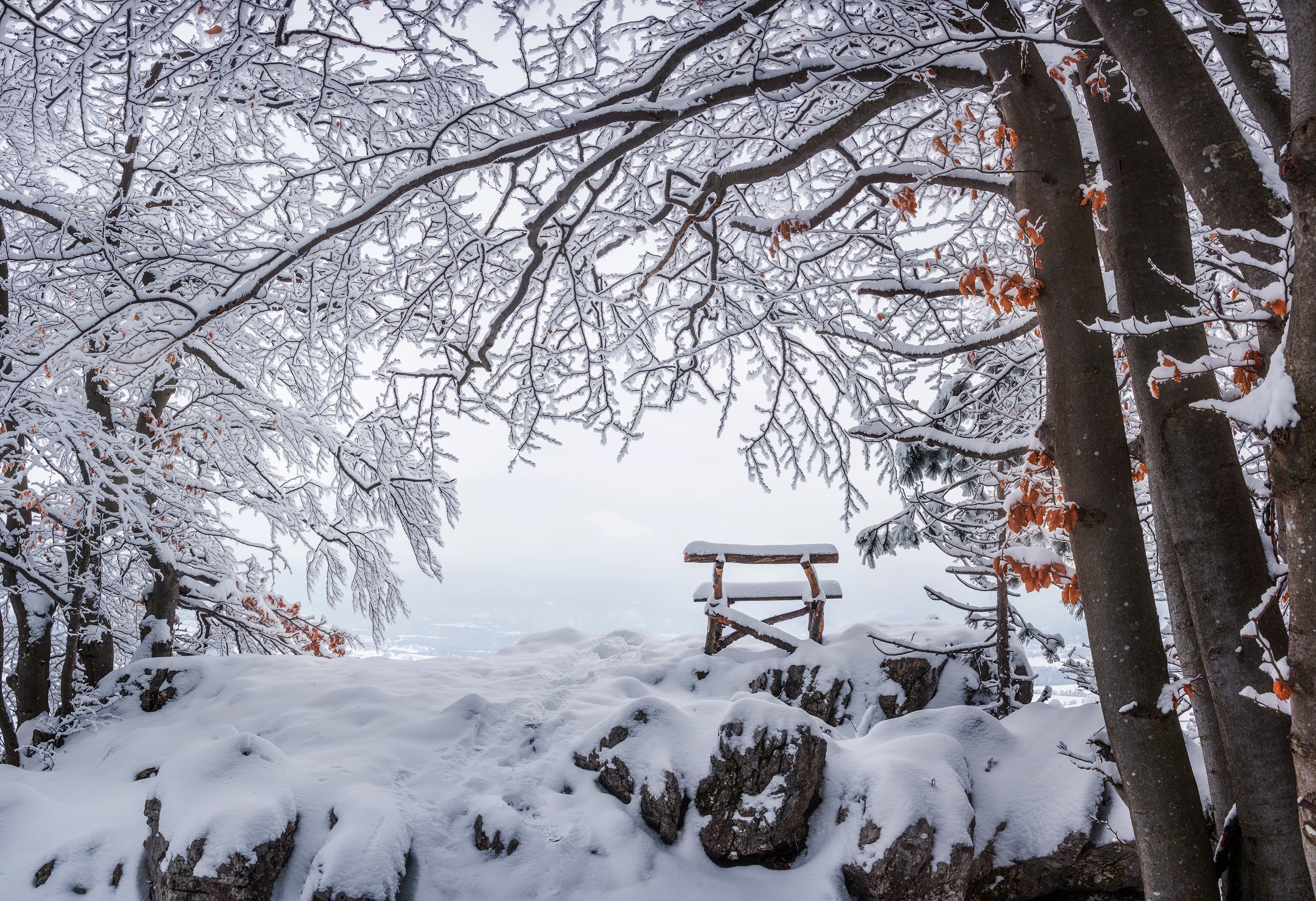 Snow covered bench on a mountain top HD Wallpaper