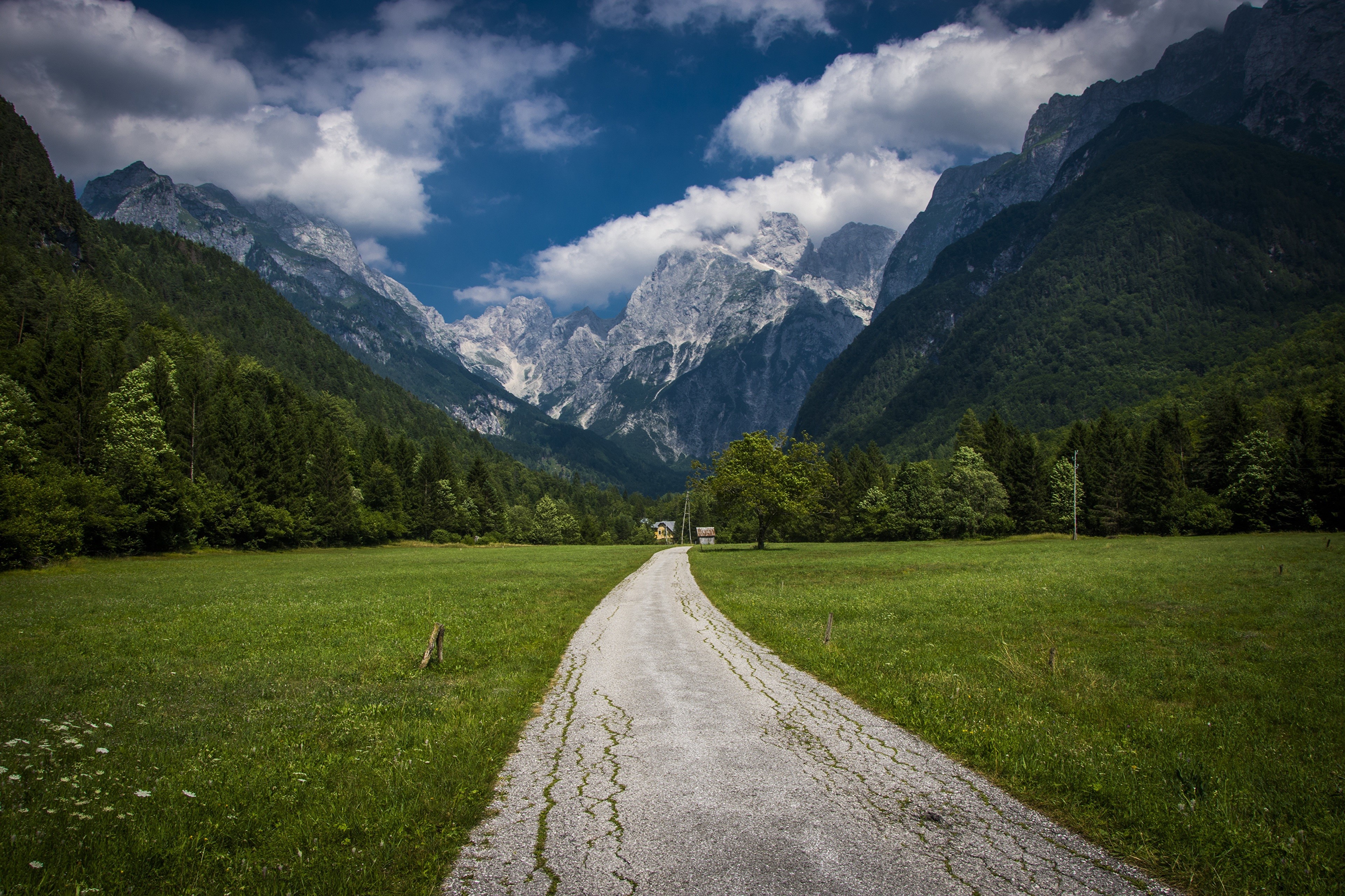 4K Mountains Road Forests Grass HD Wallpaper
