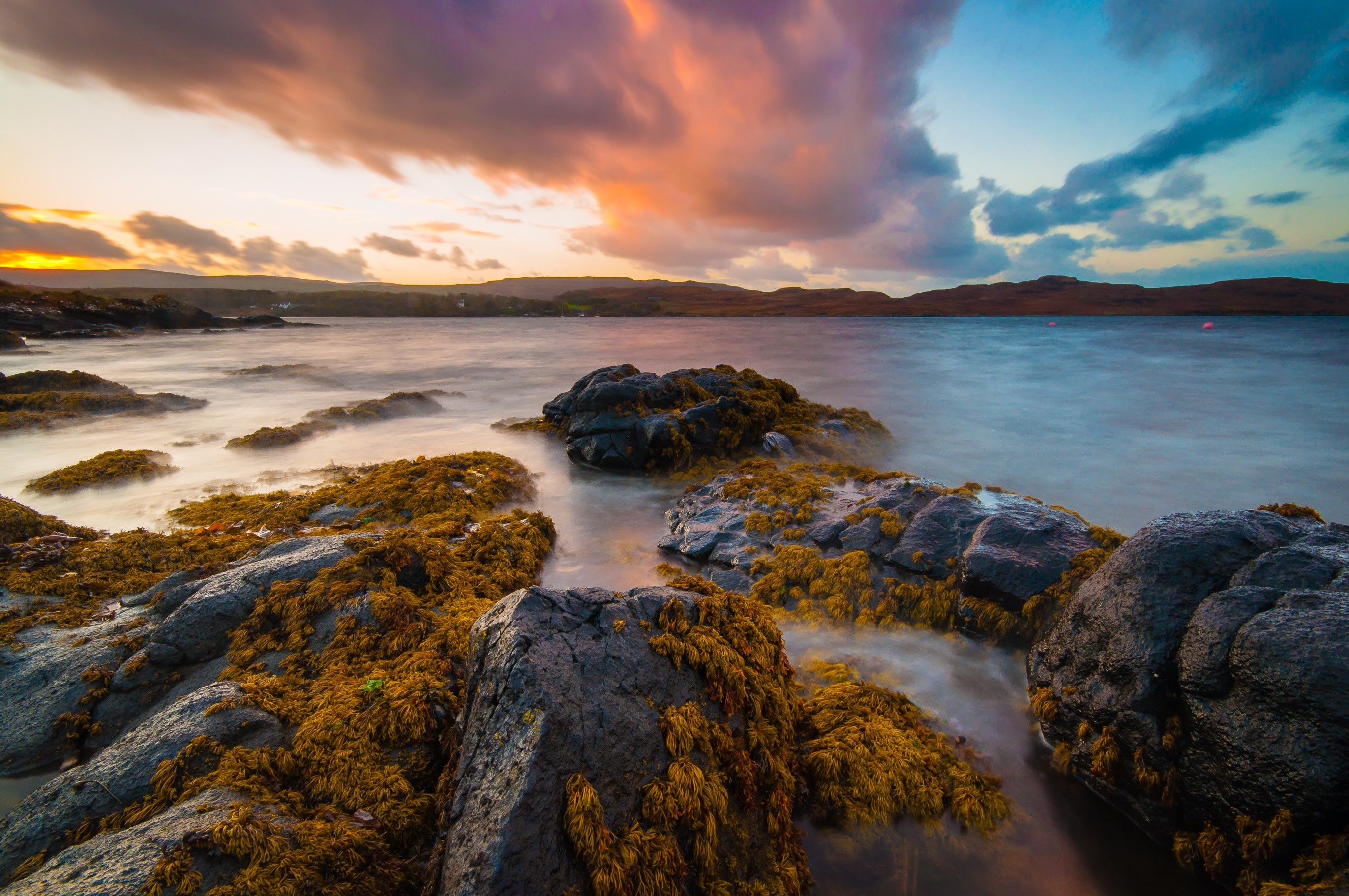 Rocky Shoreline with Kelp and Dramatic Sunset Sky HD Wallpaper