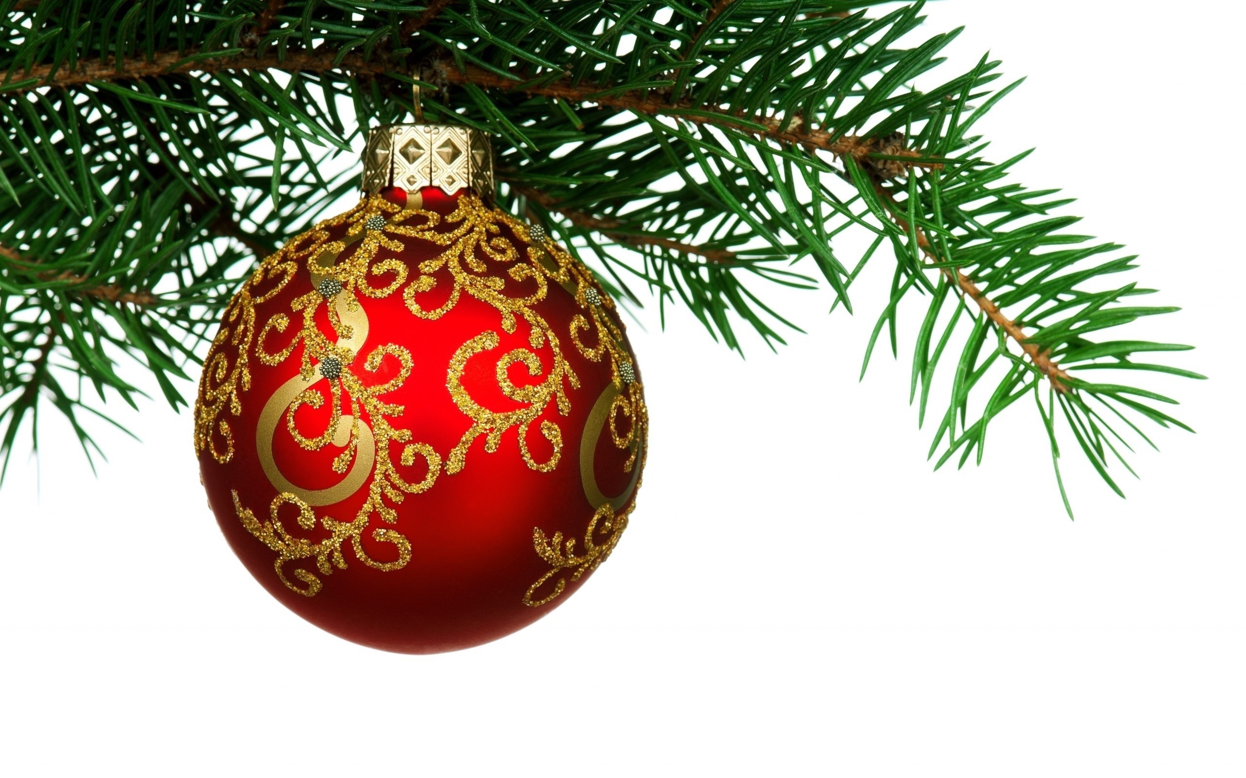 Red Christmas ornament on a pine branch HD Wallpaper