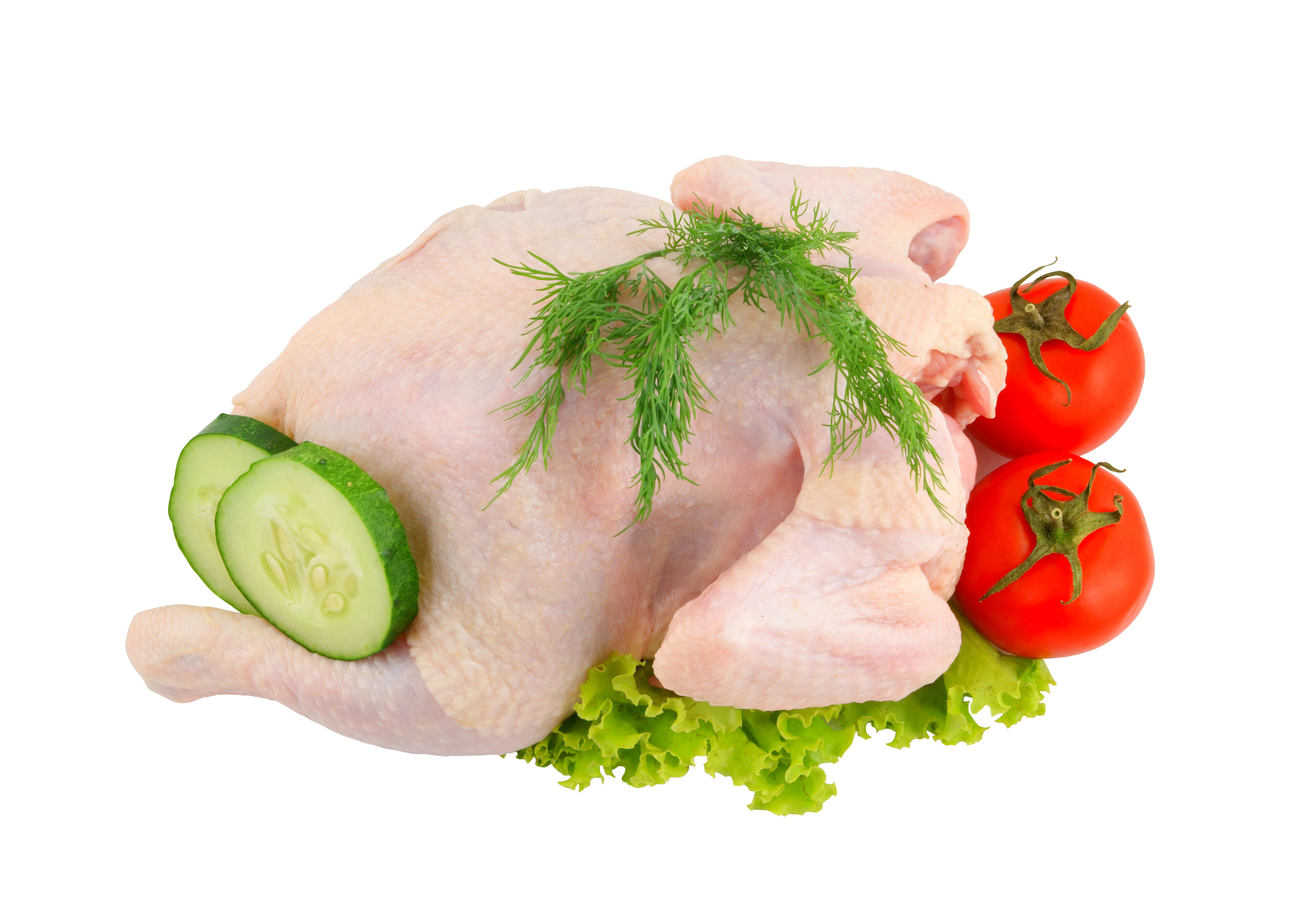 Raw chicken with tomatoes, cucumbers, dill, and lettuce HD Wallpaper