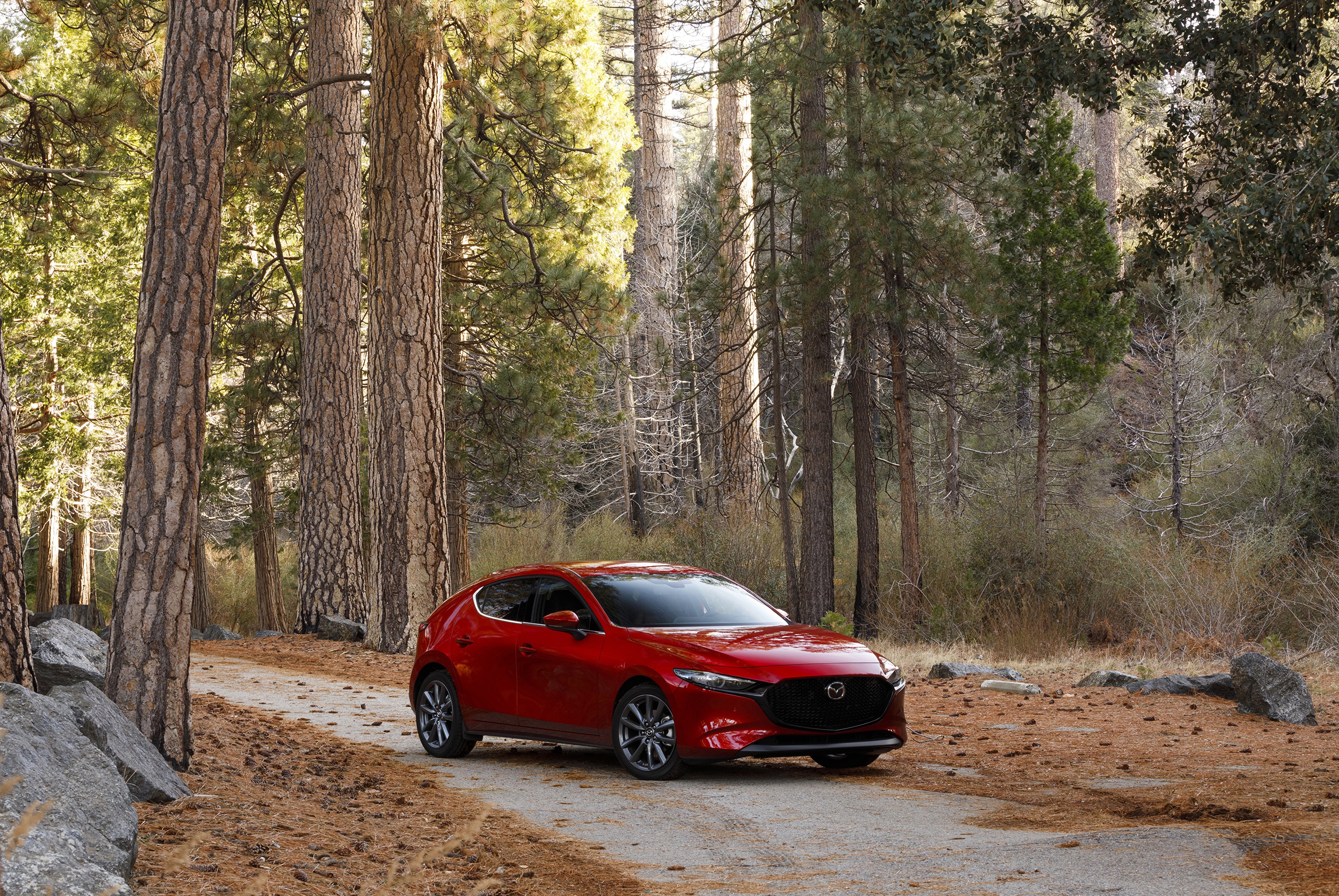 Red 2020 Mazda3 Skyactiv-G Hatchback in Forest HD Wallpaper