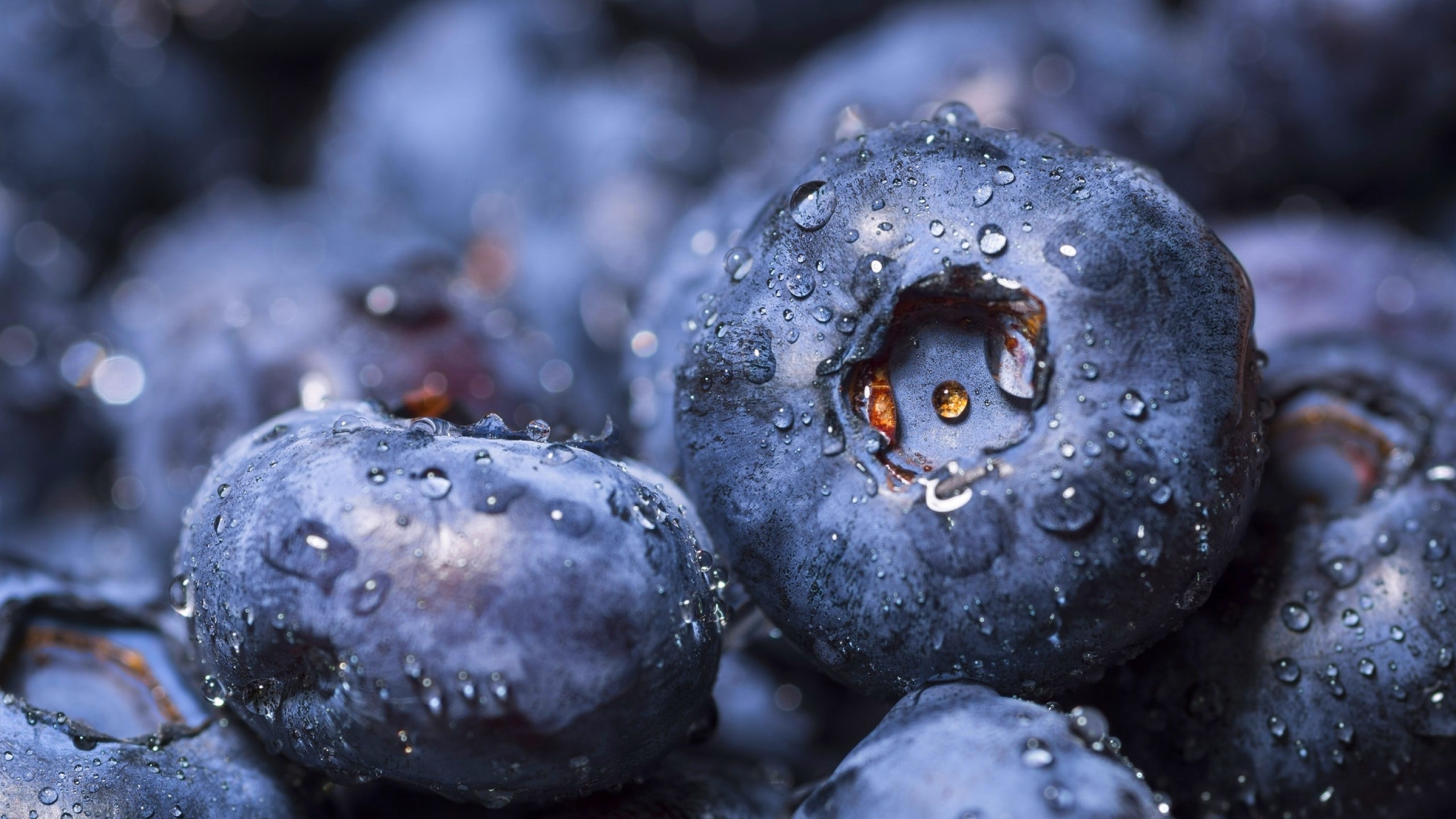 Close-up of fresh blueberries with water droplets HD Wallpaper