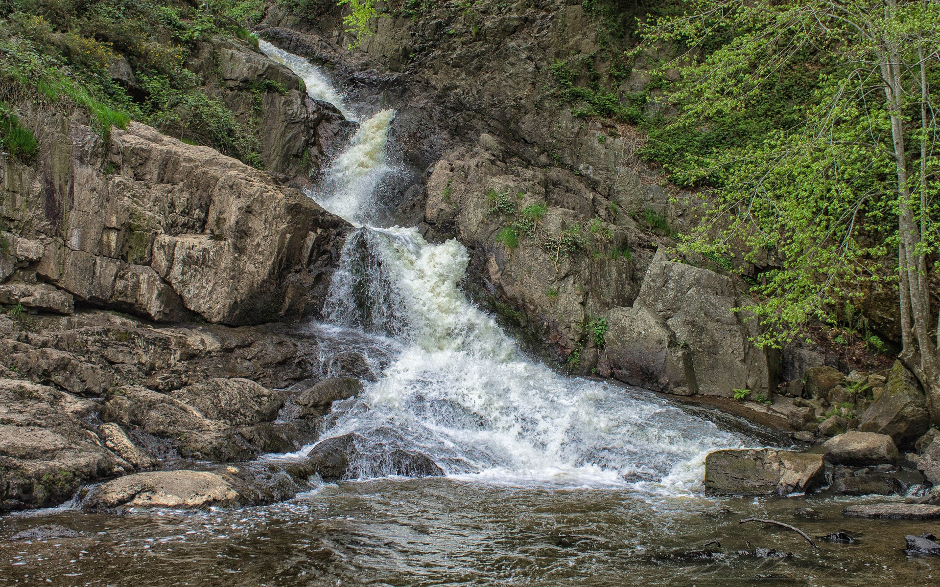 Waterfall cascading over rocks in a forest HD Wallpaper