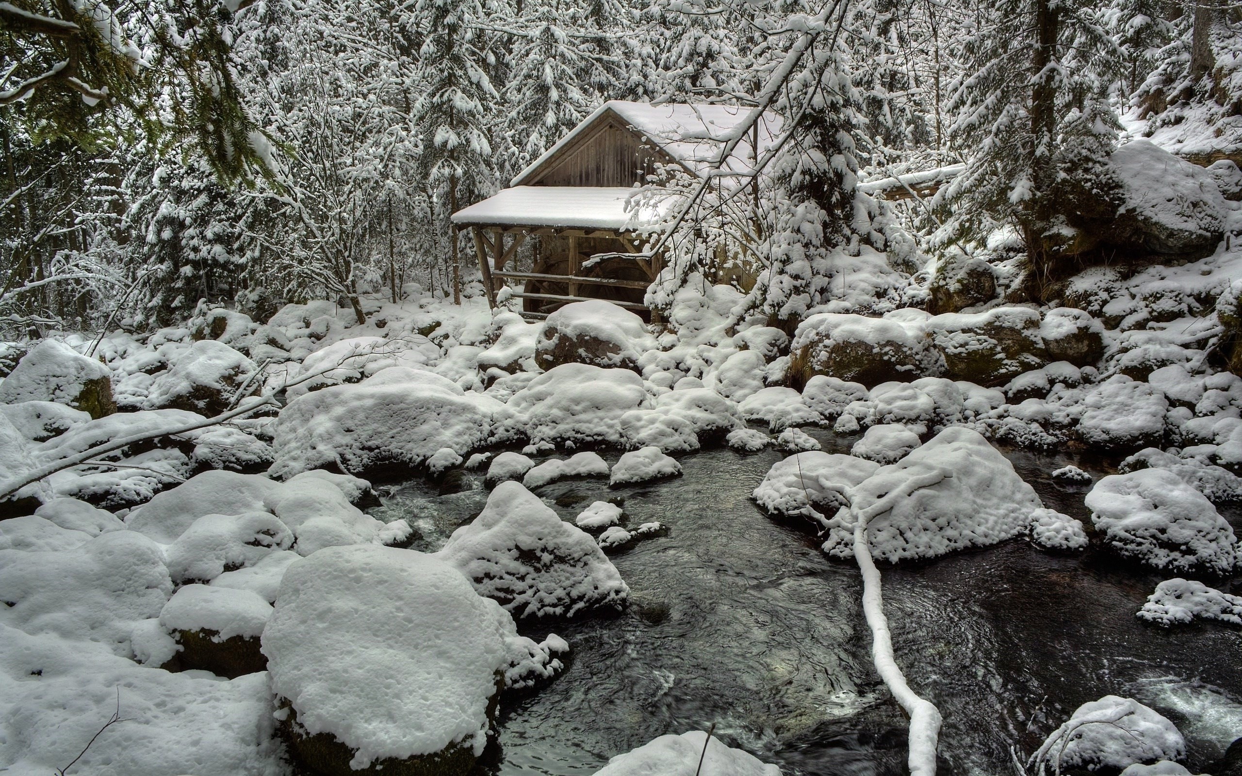 Snowy forest with a stream and a wooden structure HD Wallpaper