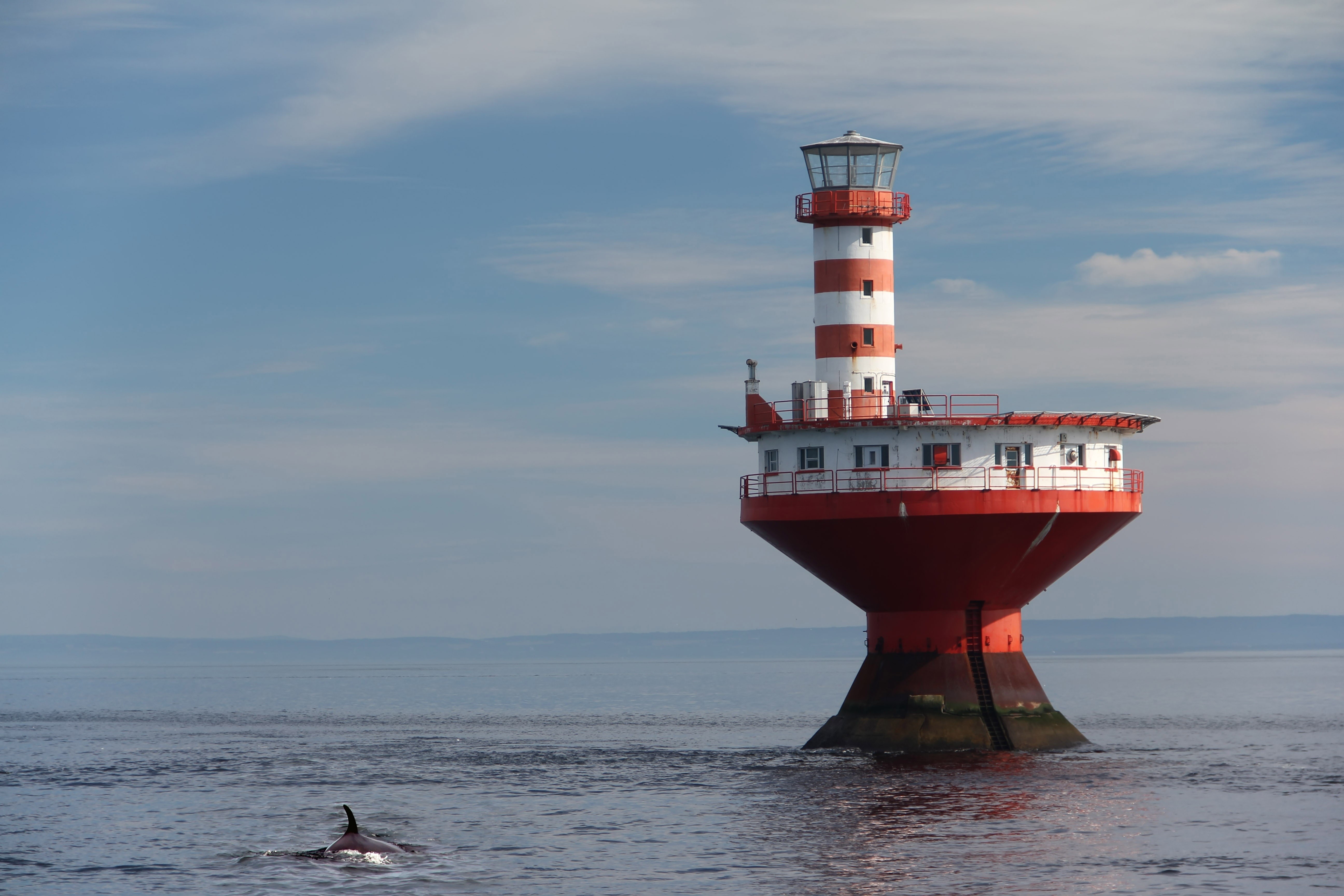 Lighthouse Tadoussac and Orca in Canada HD Wallpaper