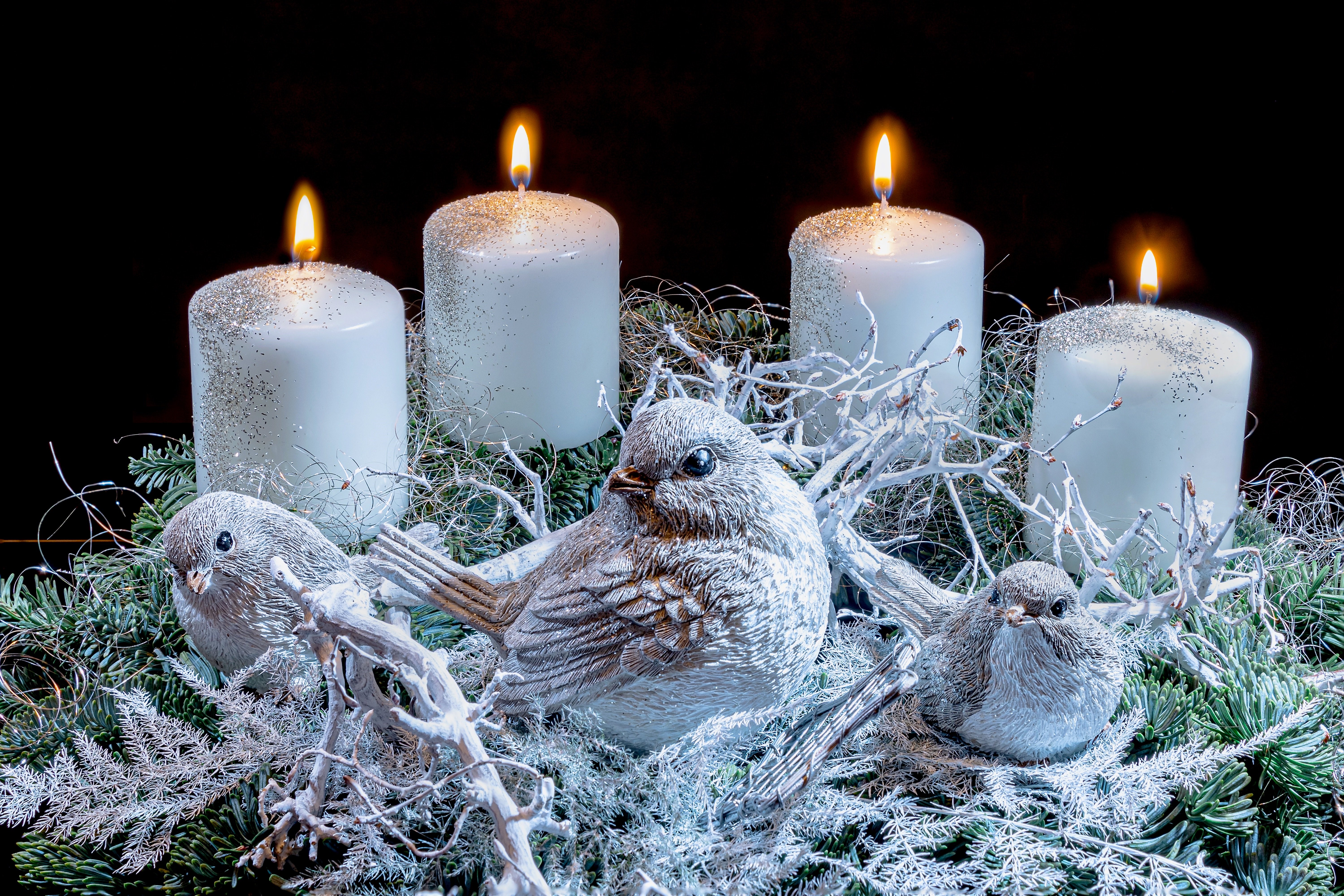 Four lit candles with birds and evergreen branches HD Wallpaper