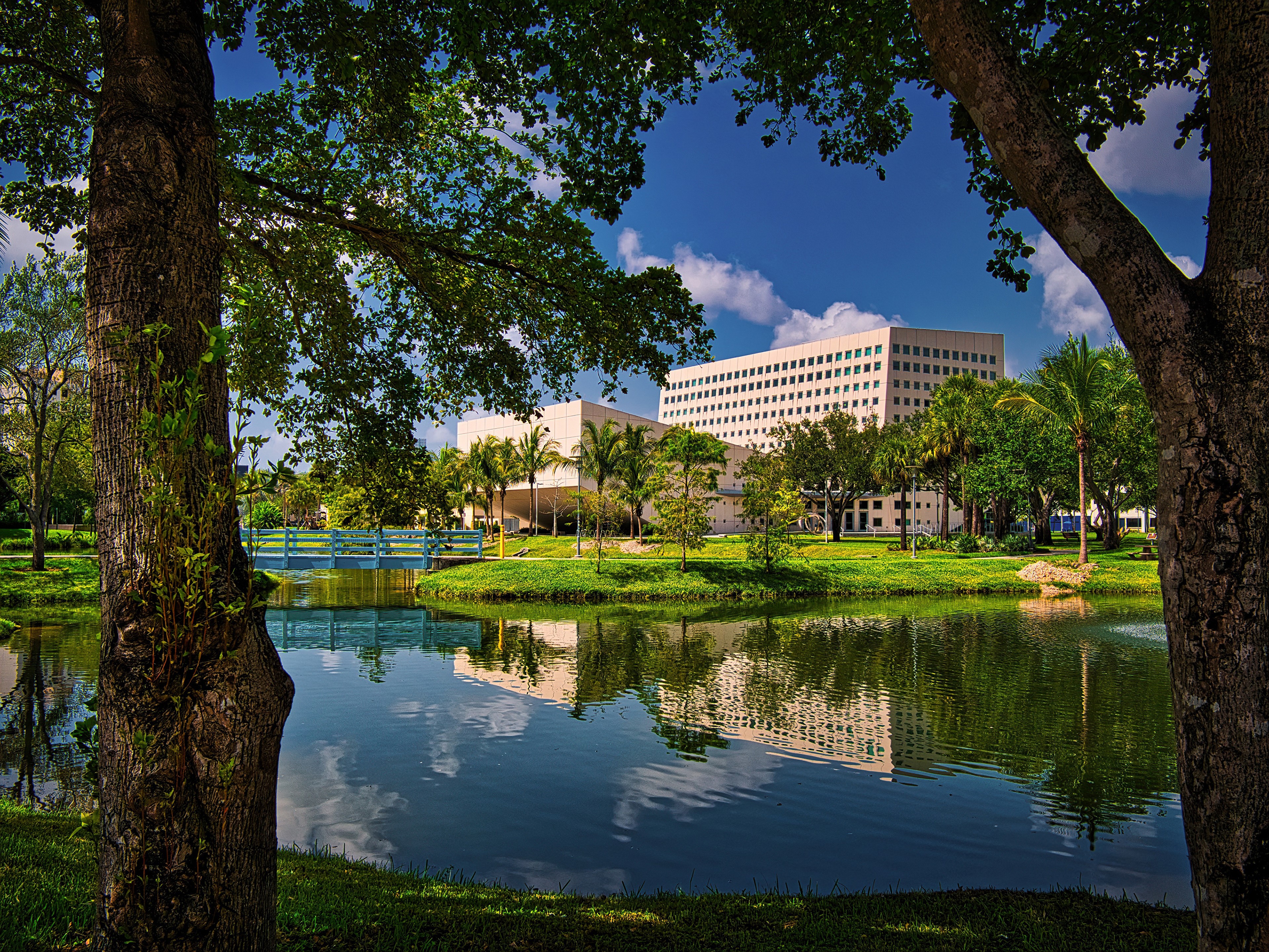 Office buildings and a pond at Florida International University HD Wallpaper