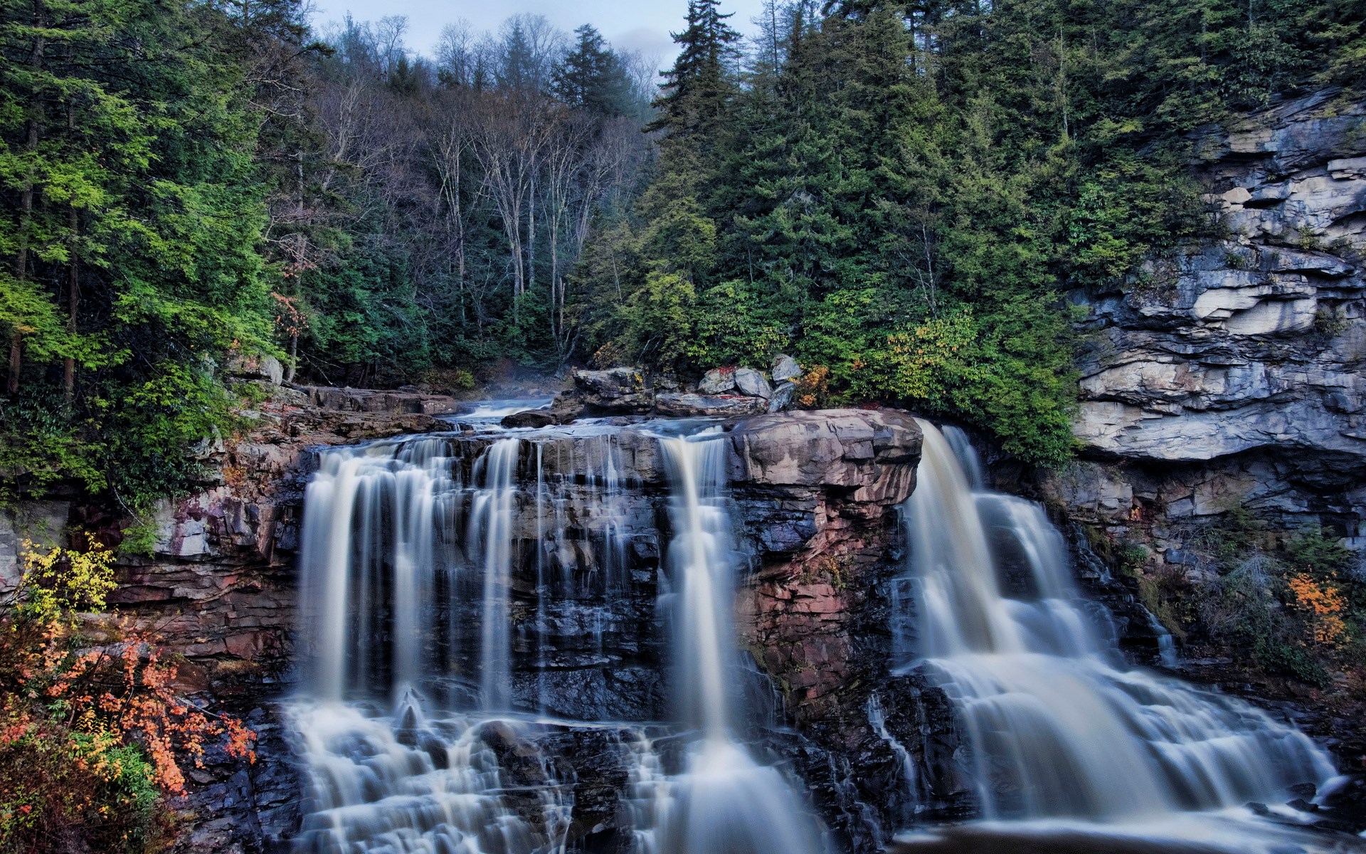 Blackwater Falls State Park Waterfall HD Wallpaper