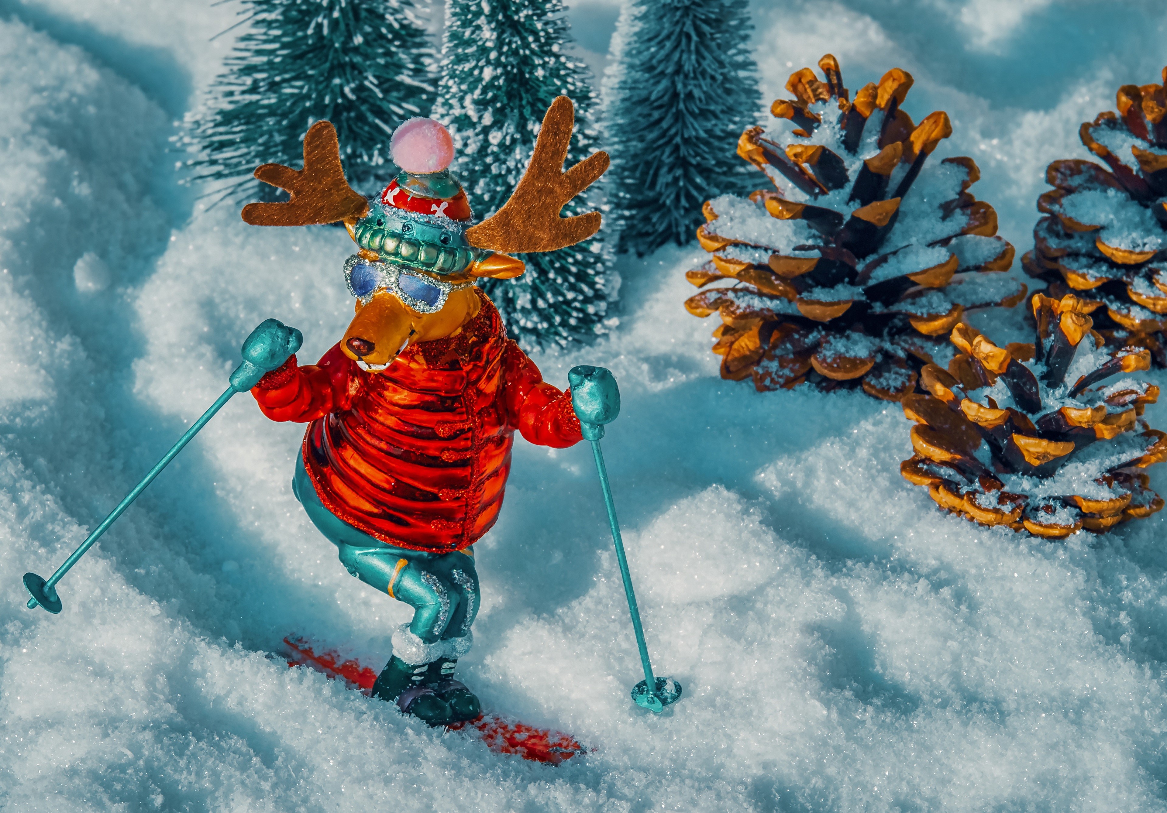 Deer skiing in snow with pine cones and trees HD Wallpaper