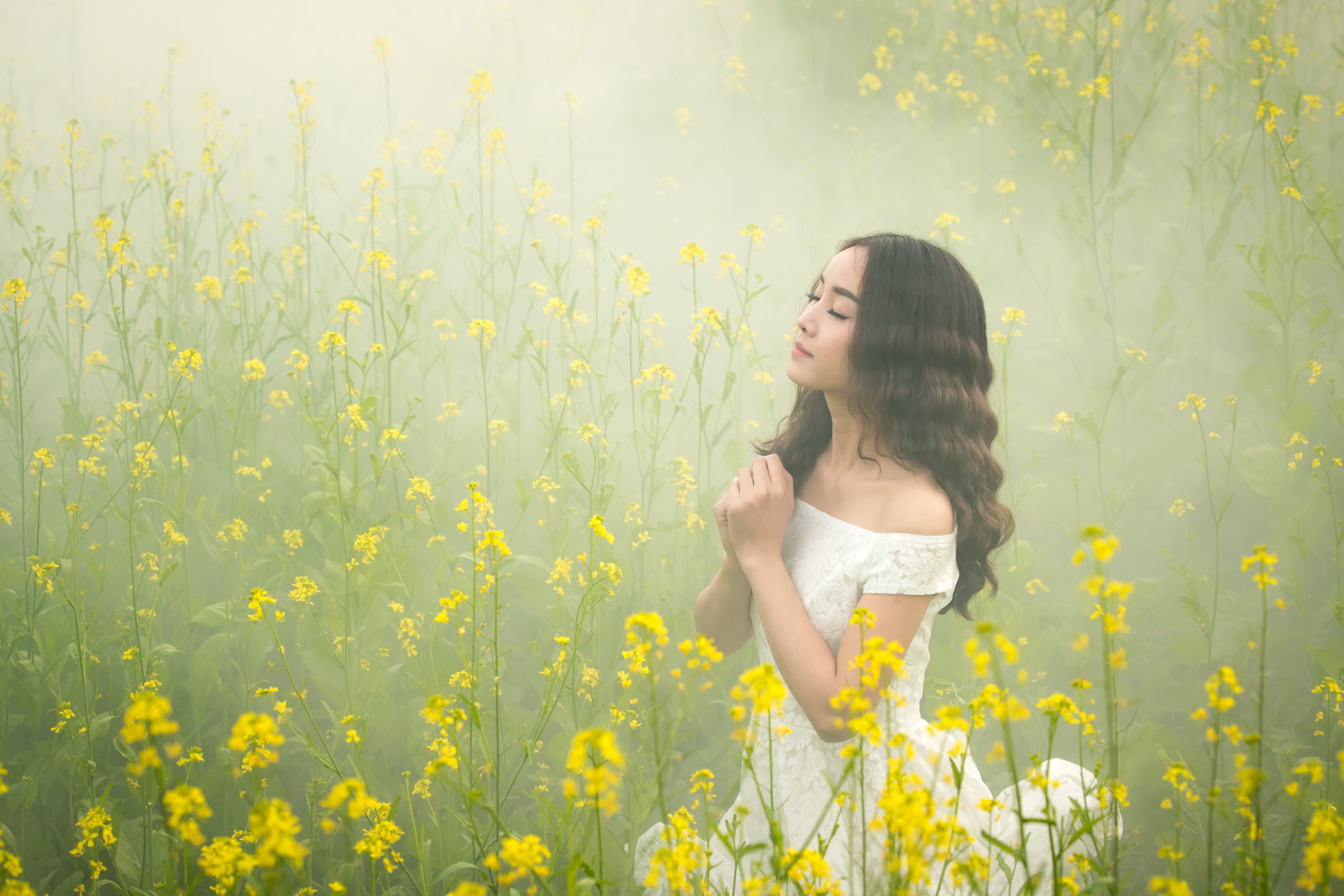 Brunette girl praying in a field of yellow flowers HD Wallpaper