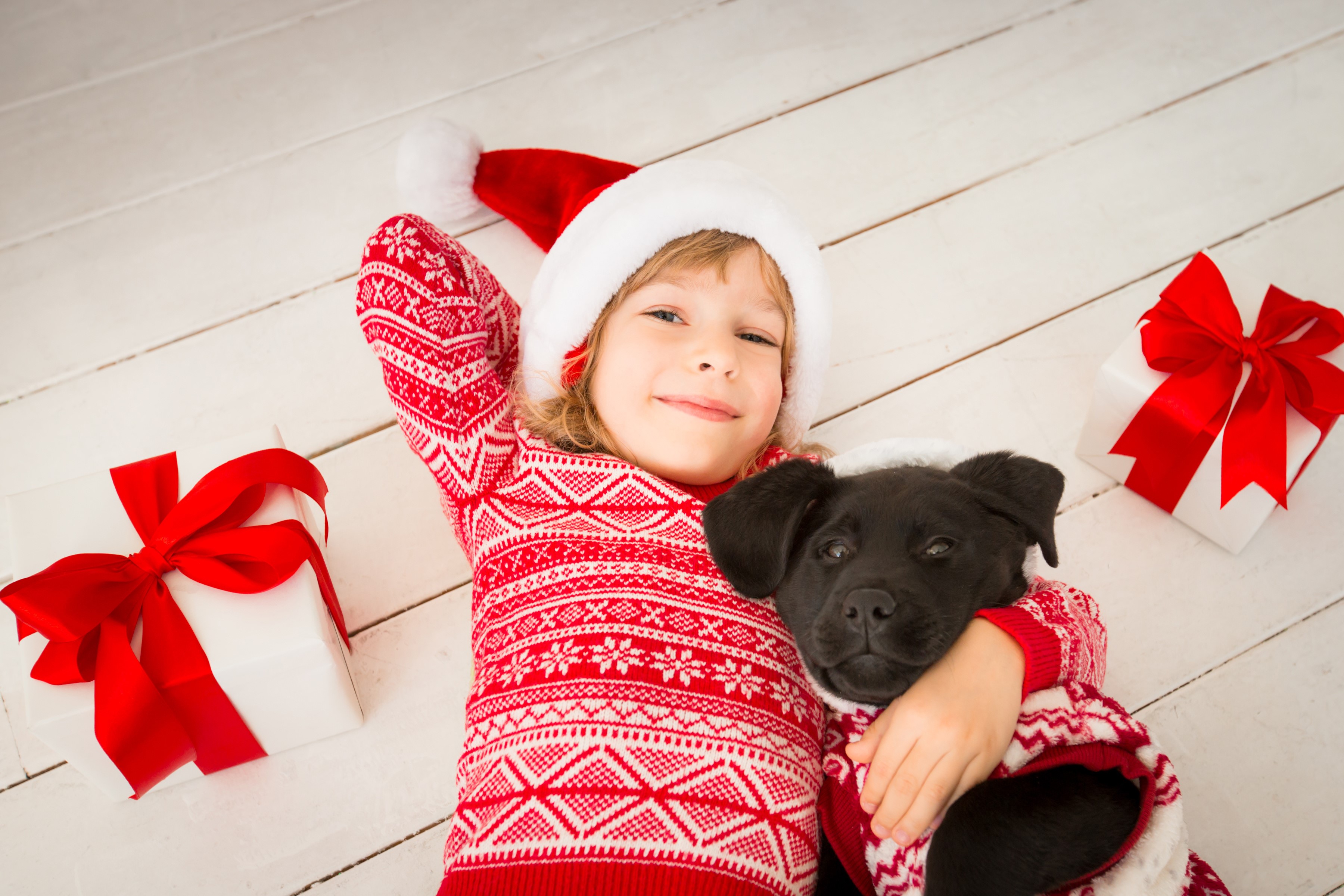 Girl in Santa hat with puppy and Christmas gifts HD Wallpaper