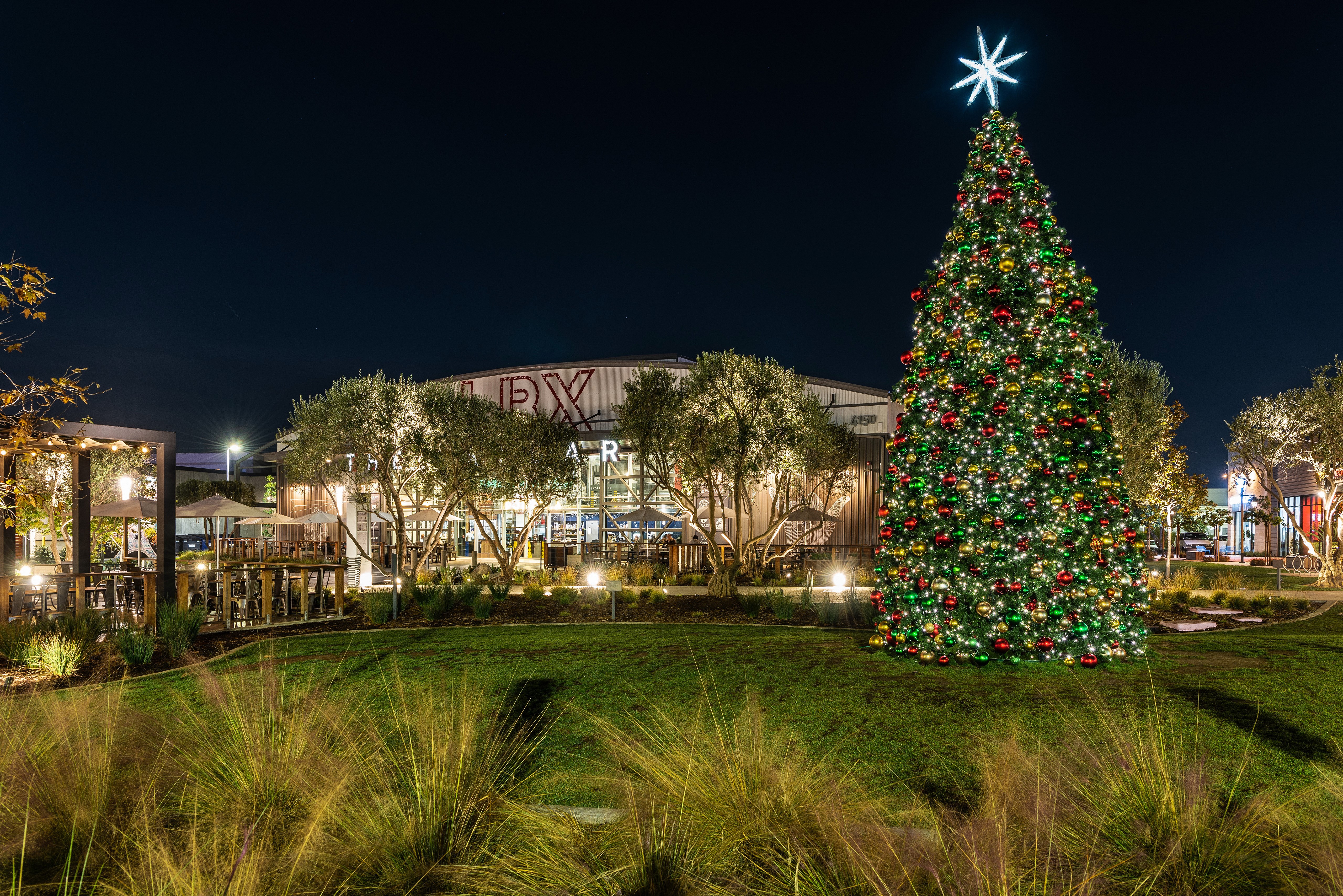 Christmas Tree in Long Beach, California at Night HD Wallpaper