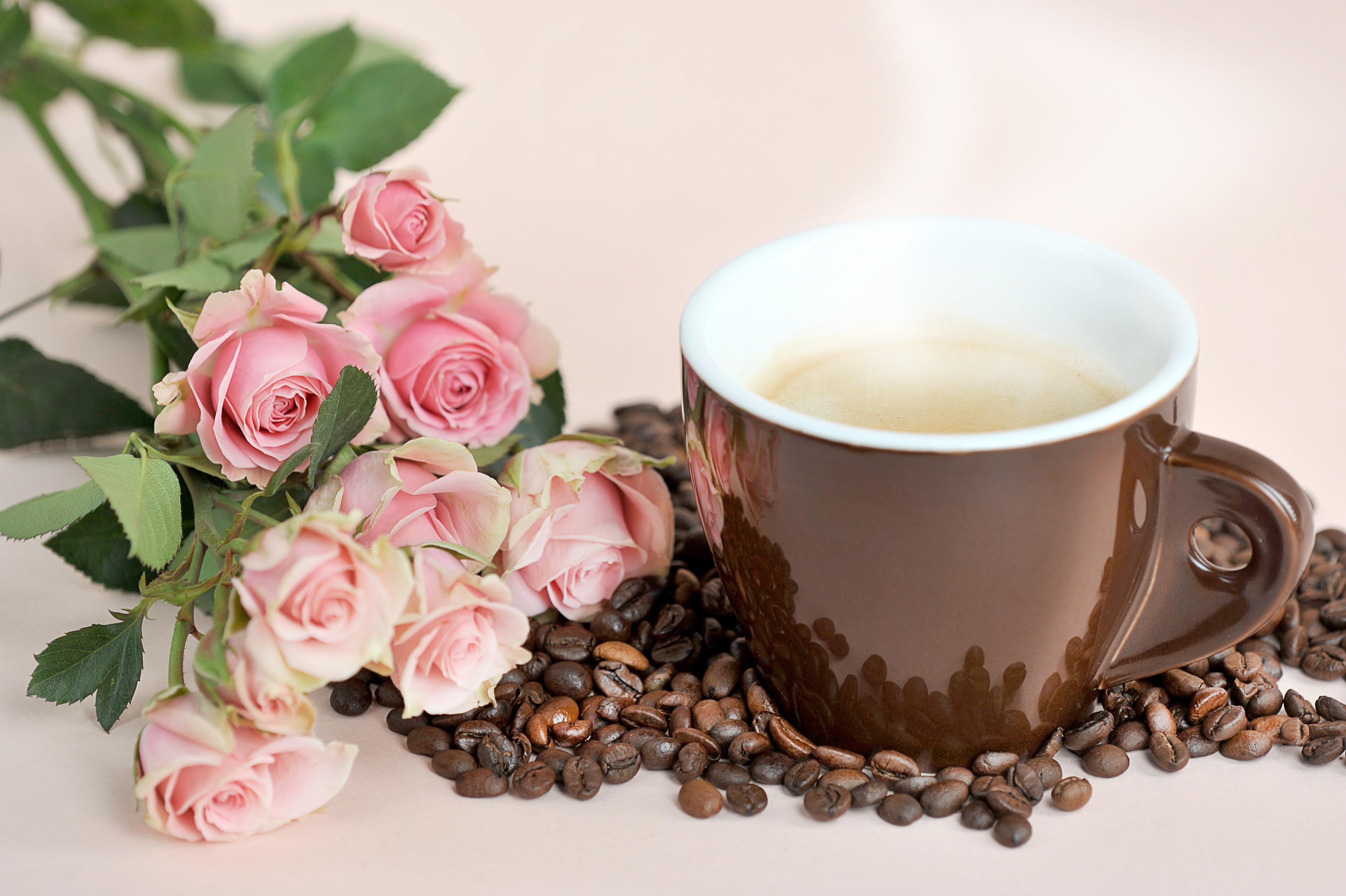 Coffee cup with pink roses and coffee beans HD Wallpaper