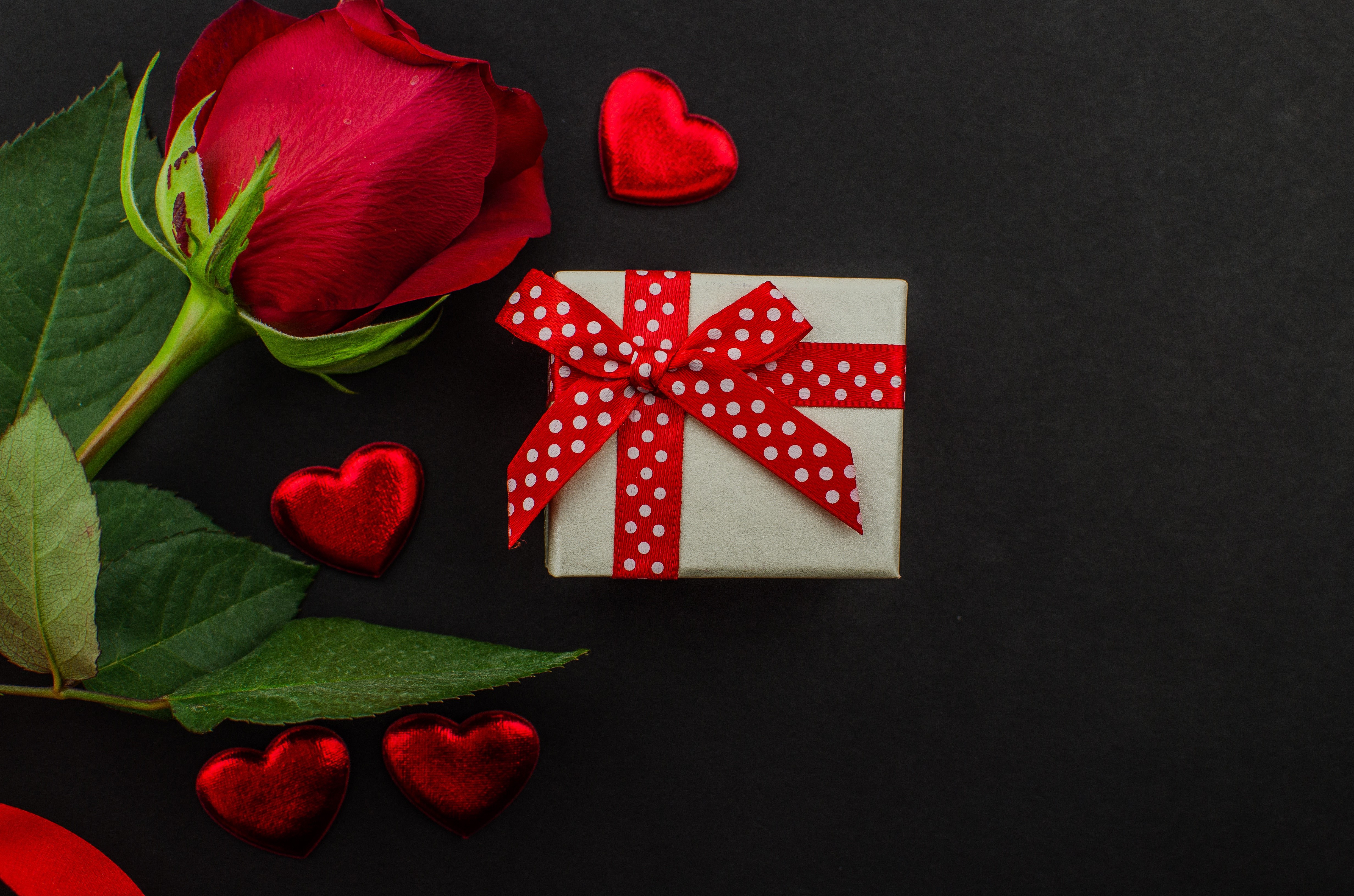 Red Rose, Gift Box, and Hearts for Valentine's Day HD Wallpaper