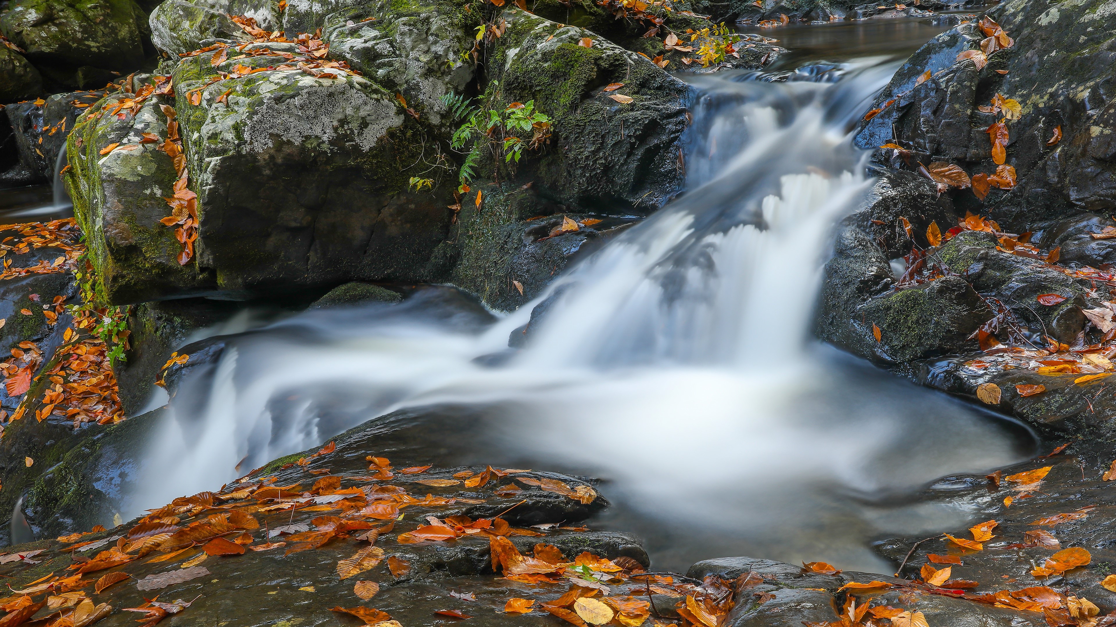 Waterfall in Autumn with Foliage and Stones HD Wallpaper