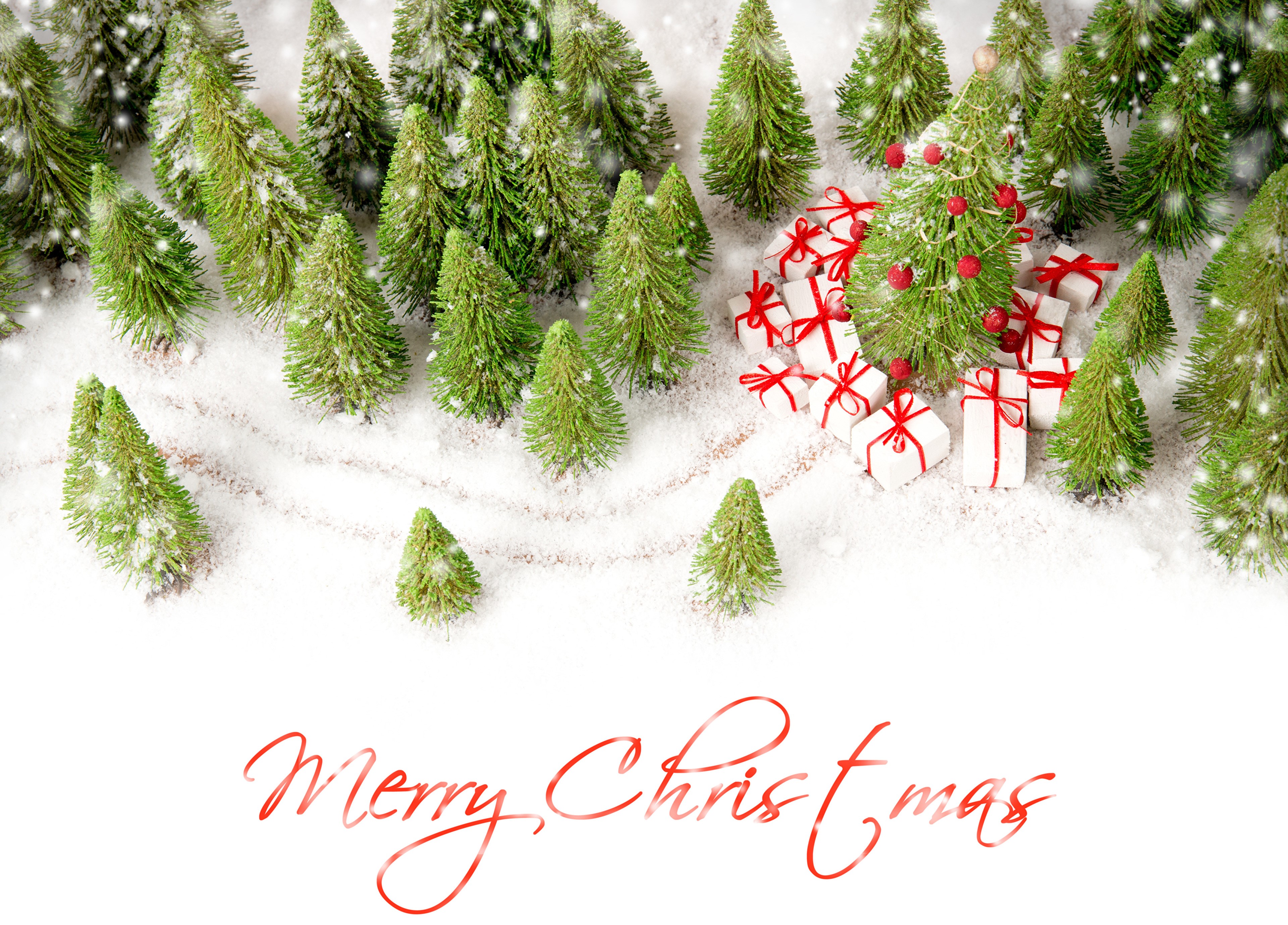 Christmas forest with gifts and text HD Wallpaper