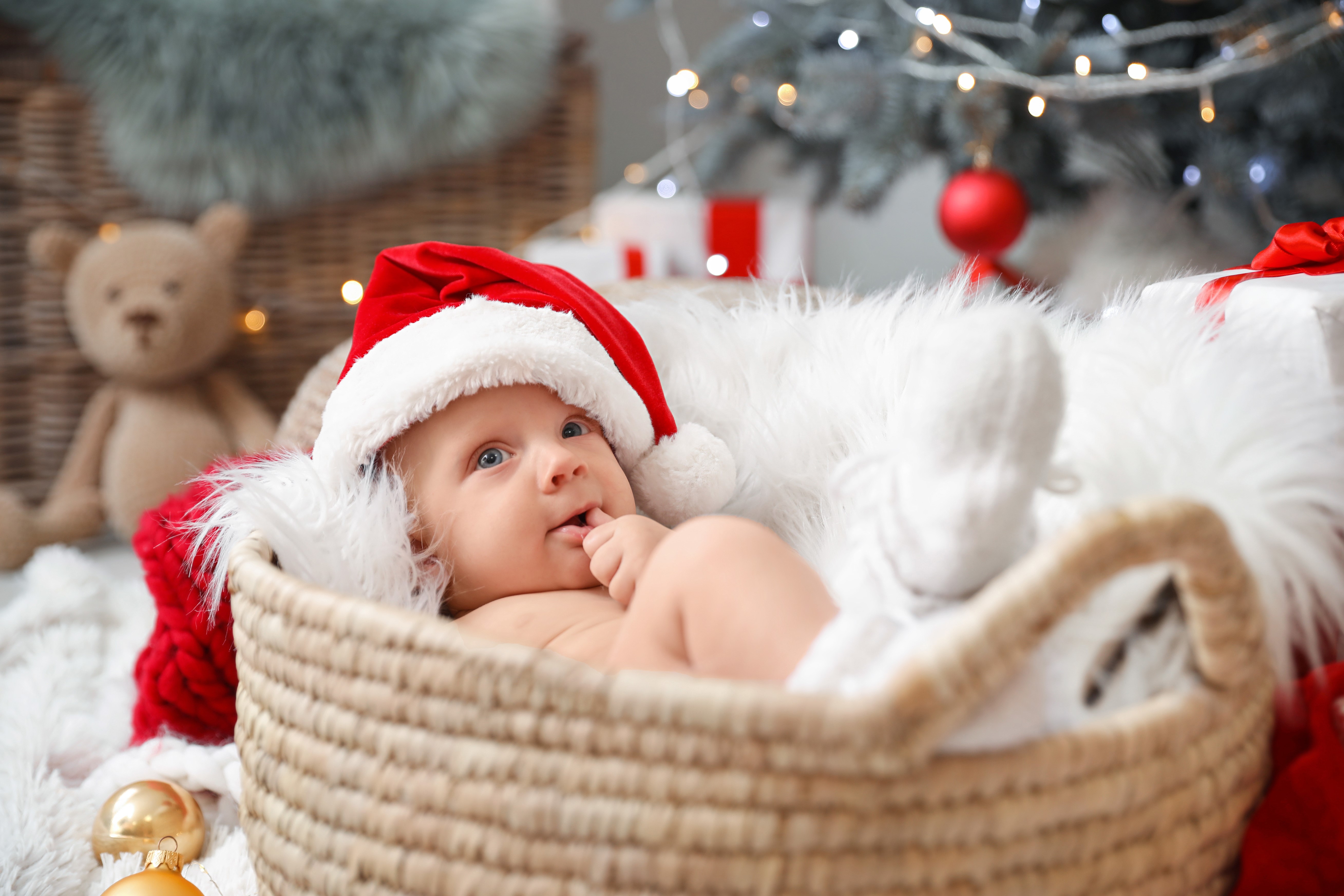 Baby in Santa hat in wicker basket with Christmas tree HD Wallpaper