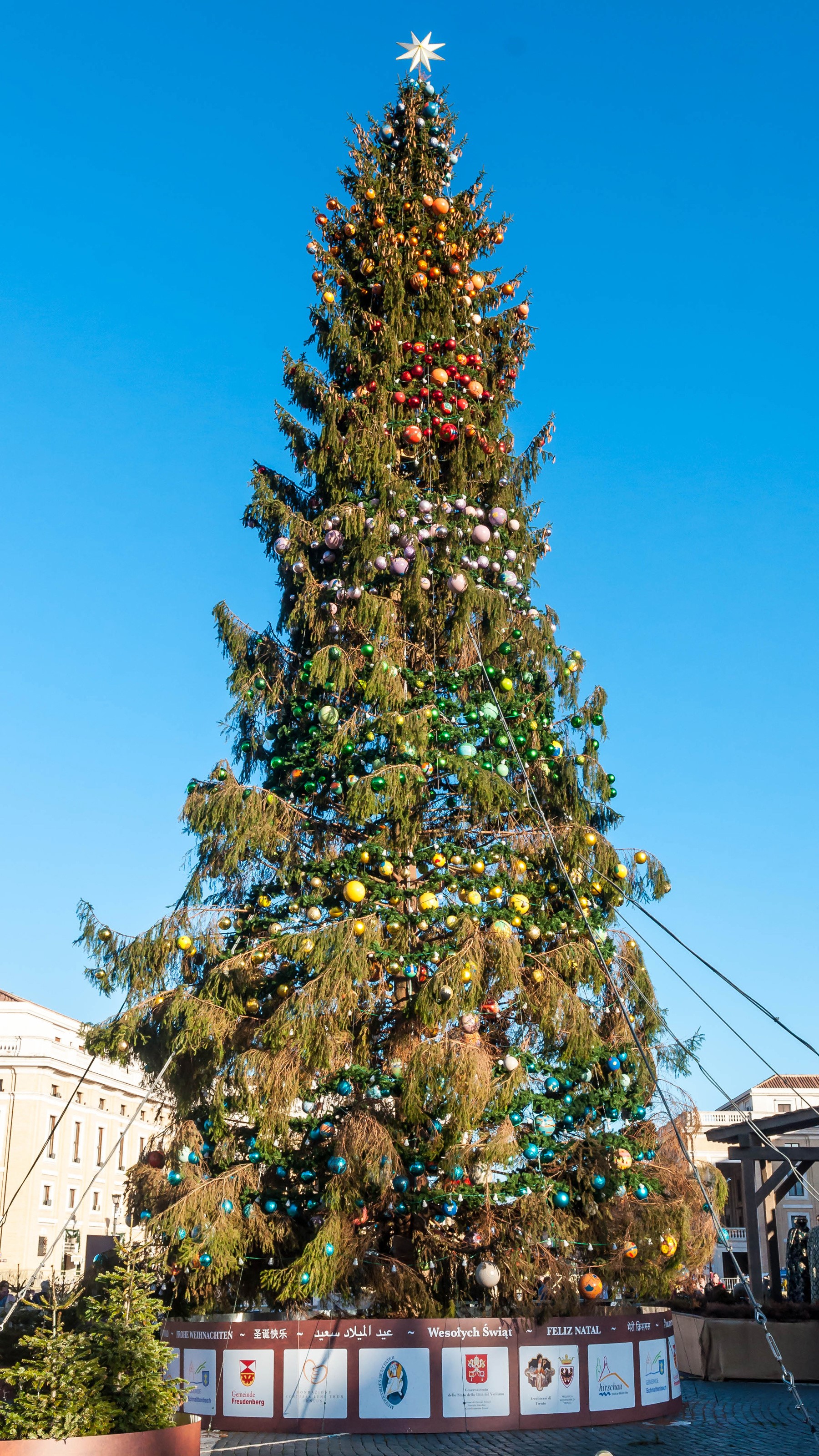 Christmas tree in Rome, Italy HD Phone Wallpaper