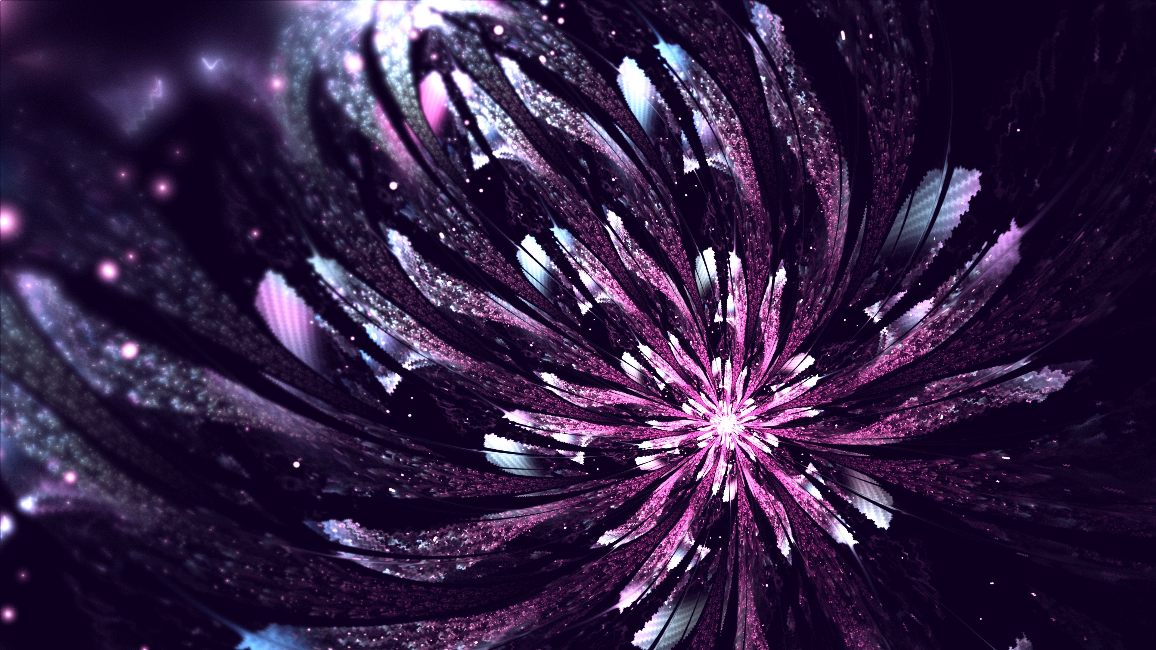 4K Violet Fractal Flower Closeup HD Wallpaper