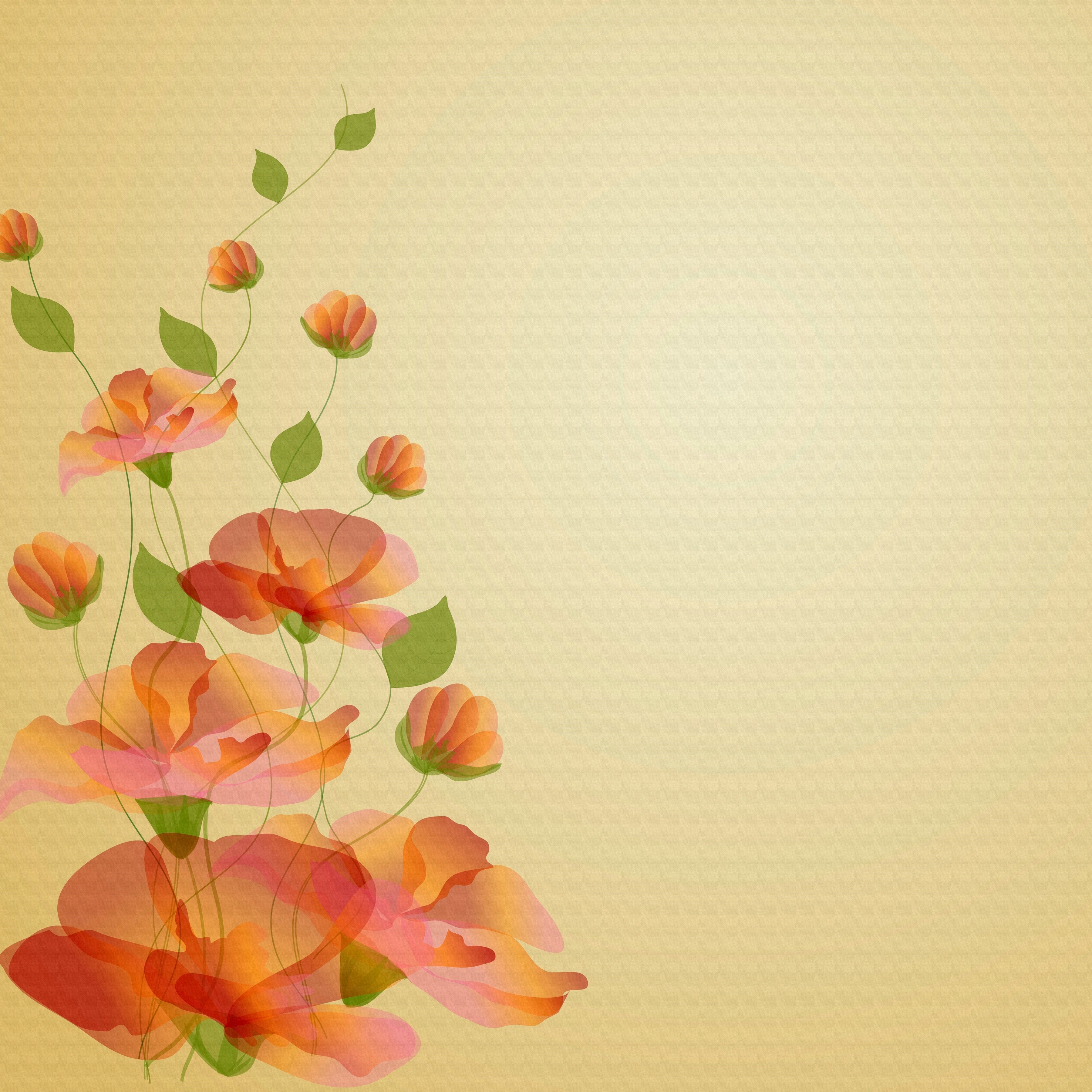 Painting of Poppies for Greeting Card Template HD Wallpaper