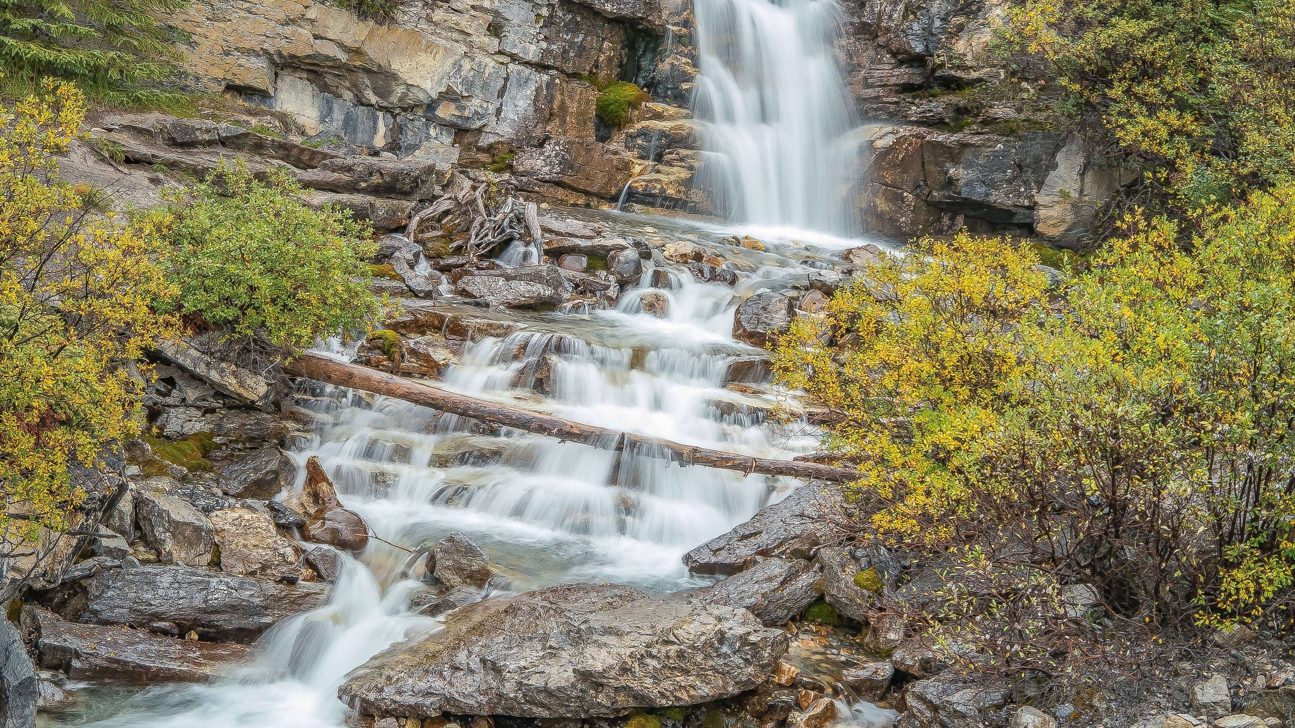 Waterfall cascading over rocks with autumn foliage HD Wallpaper