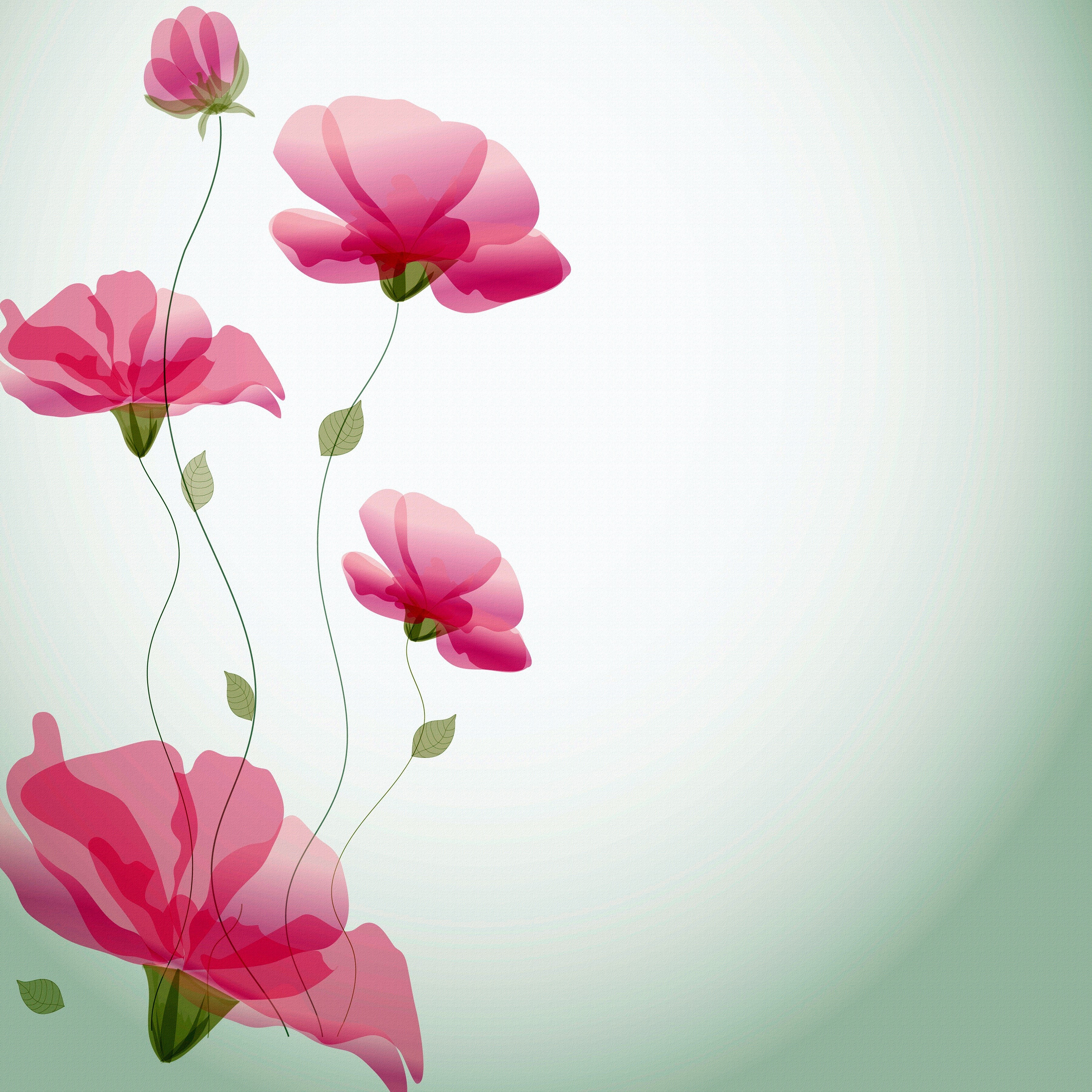 Painting of pink poppies on a light green background HD Wallpaper