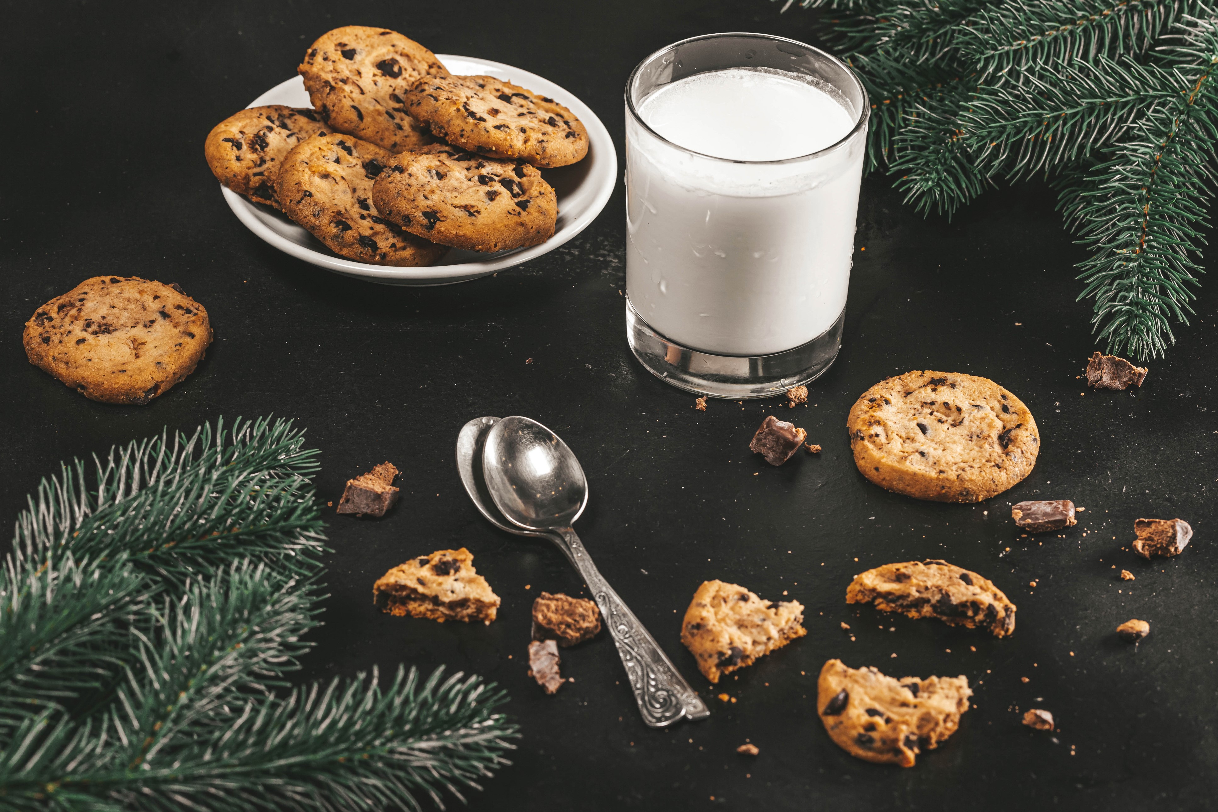 Chocolate chip cookies and milk with pine branches HD Wallpaper