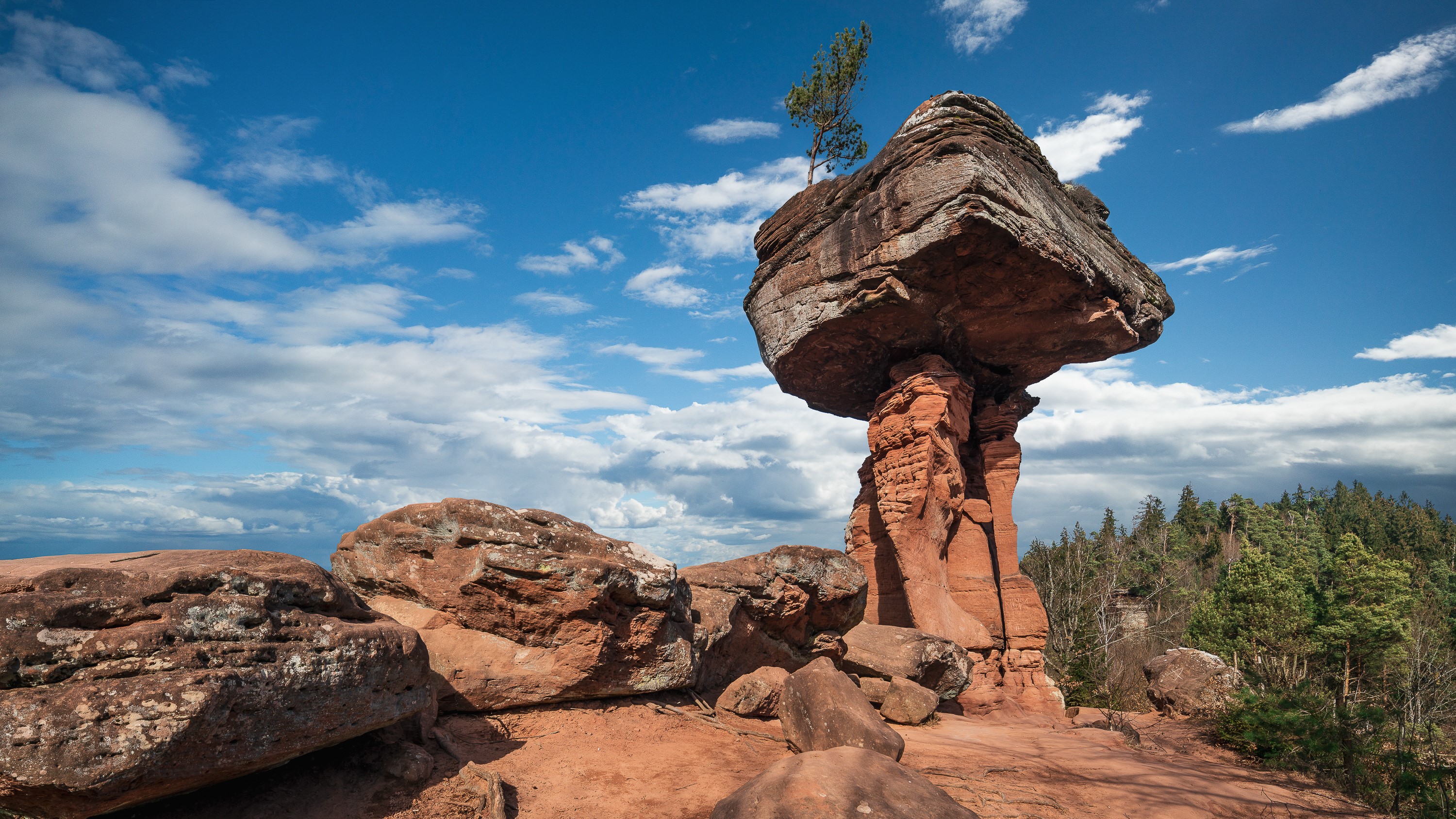 Balanced rock formation with a tree under a cloudy sky in Germany HD Wallpaper