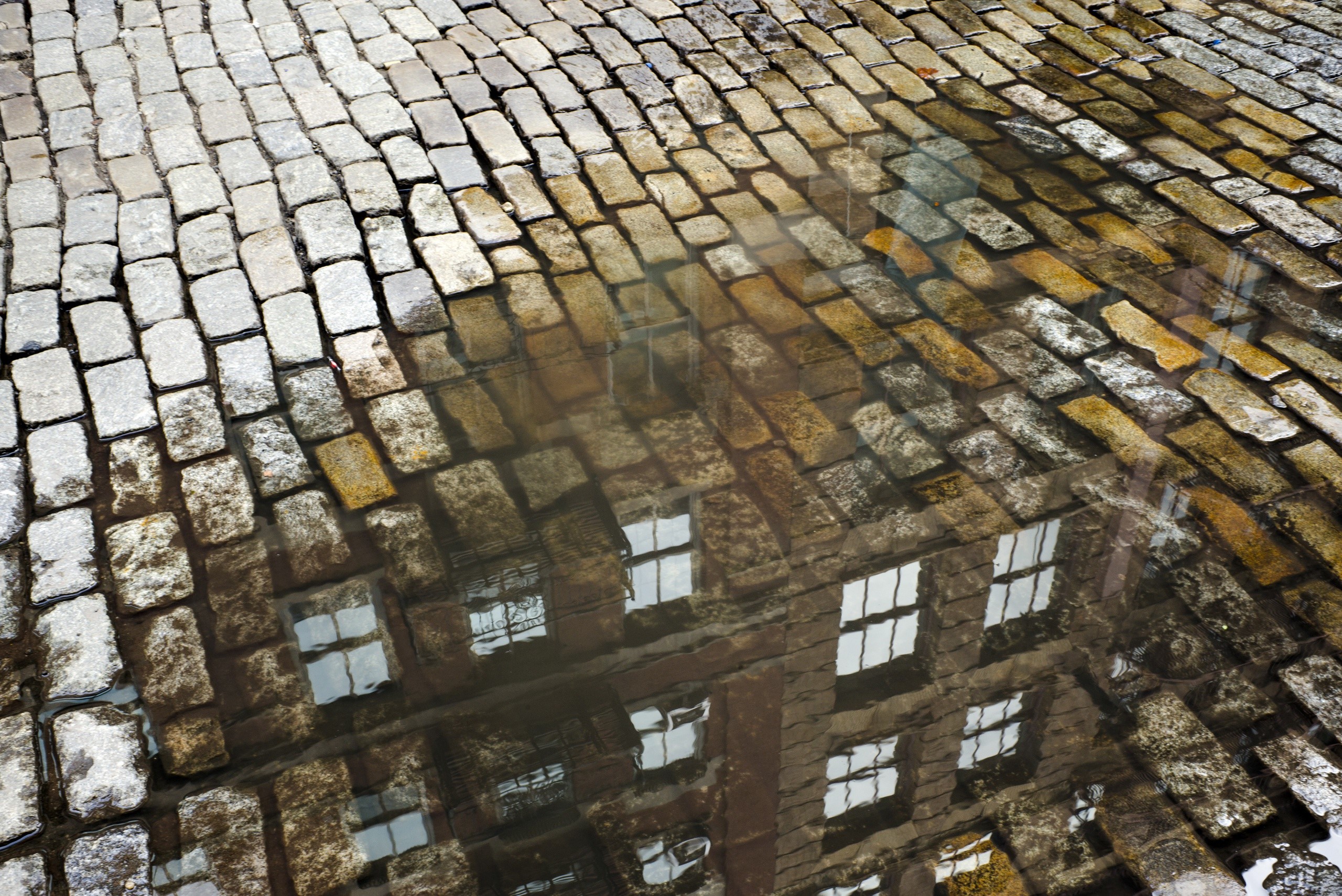 Cobblestone street with reflection of building in puddle HD Wallpaper