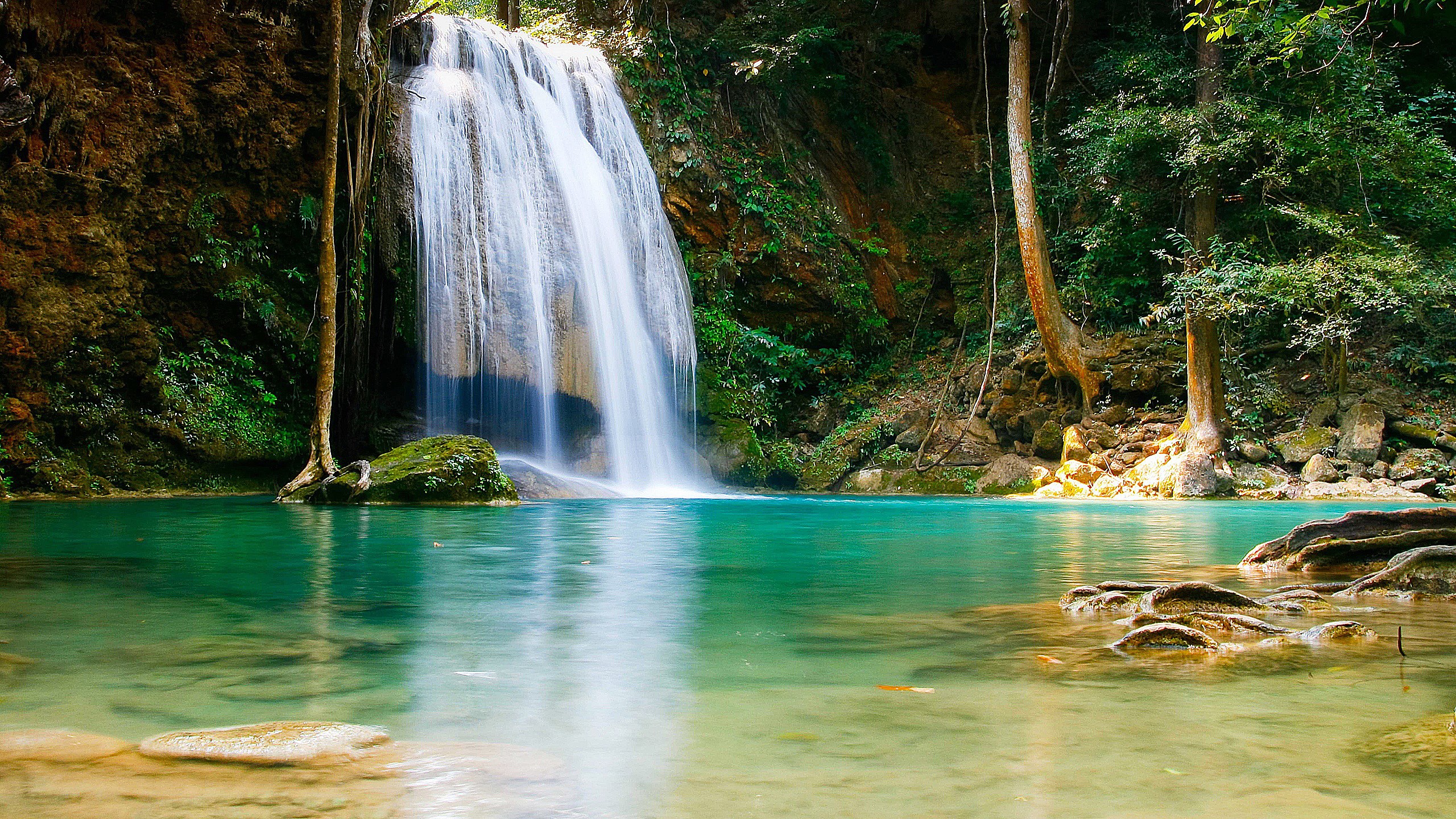 Waterfall cascading into a turquoise pool in a lush forest HD Wallpaper