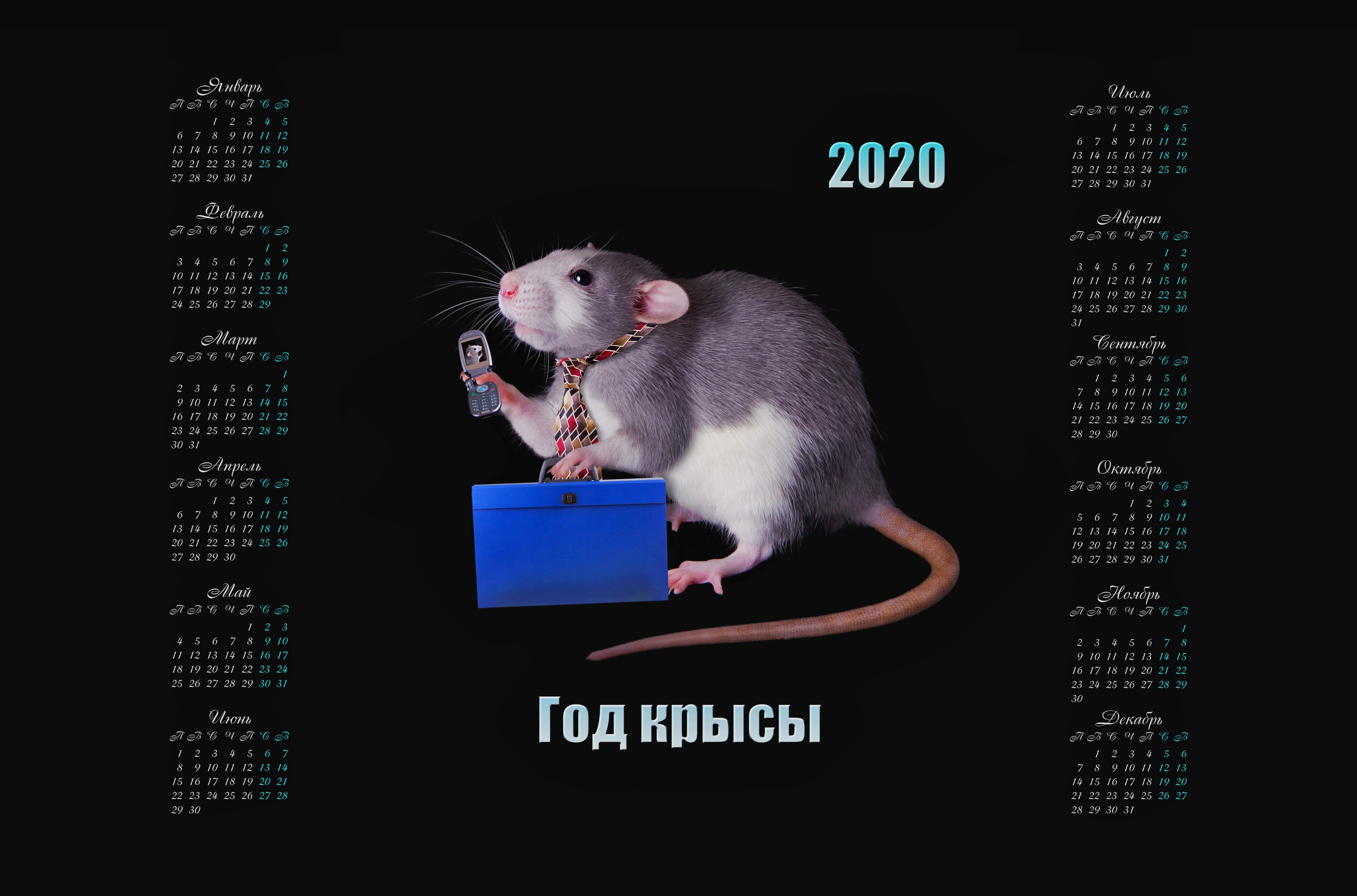 2020 Calendar with Rat and Russian Text HD Wallpaper
