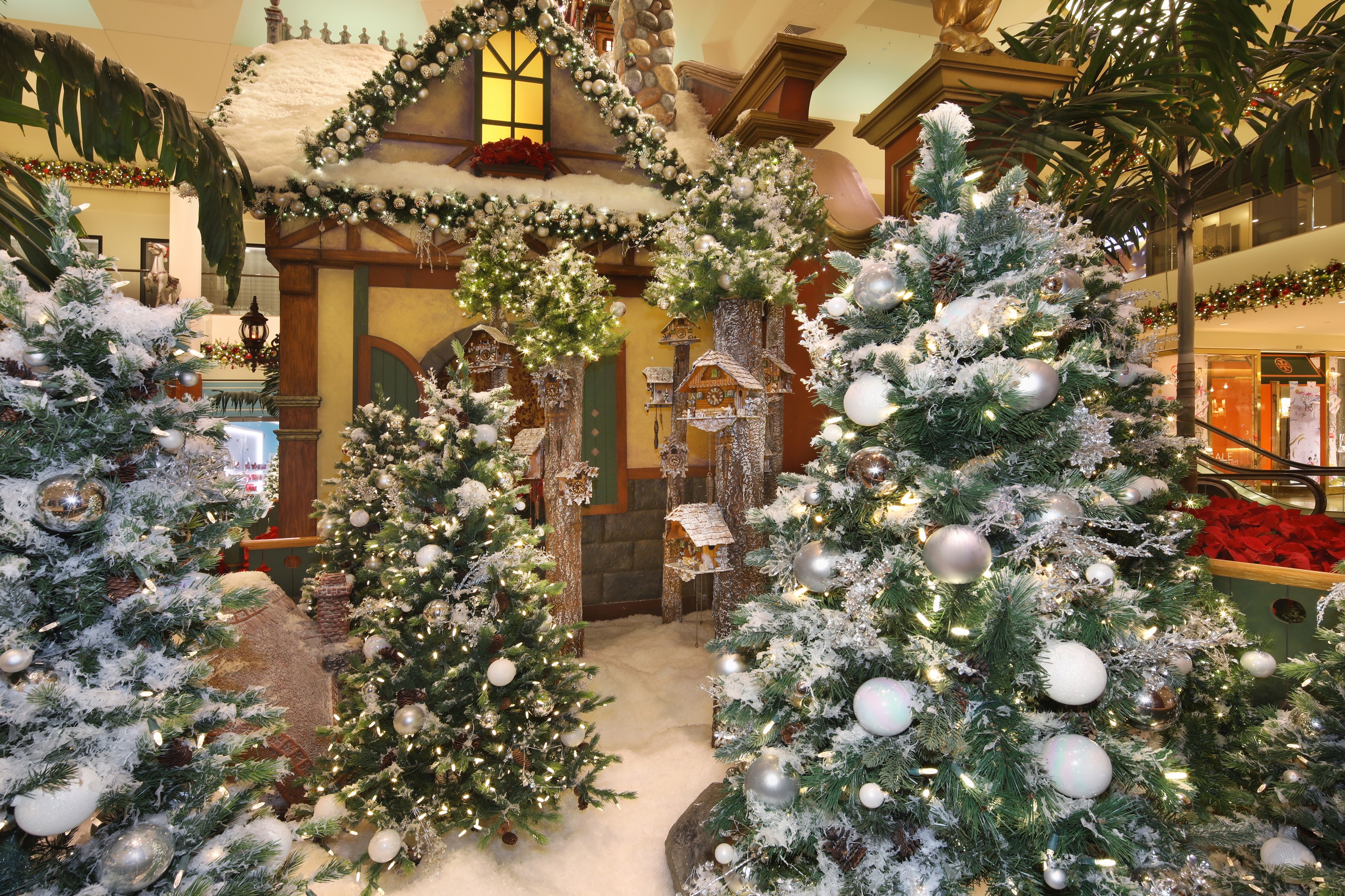 Christmas trees decorated with snow and ornaments HD Wallpaper