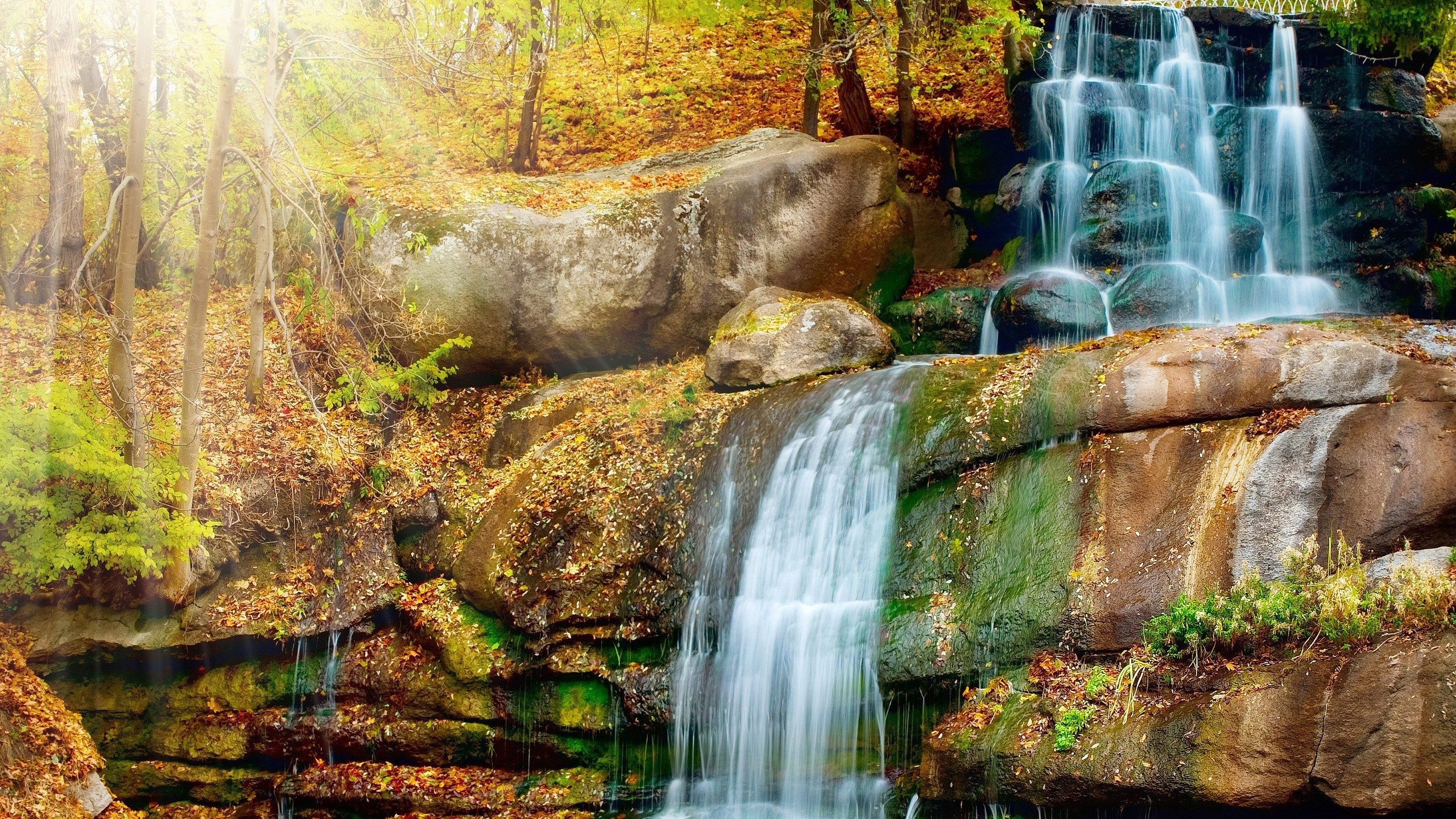 Waterfall cascading over rocks in an autumn forest HD Wallpaper